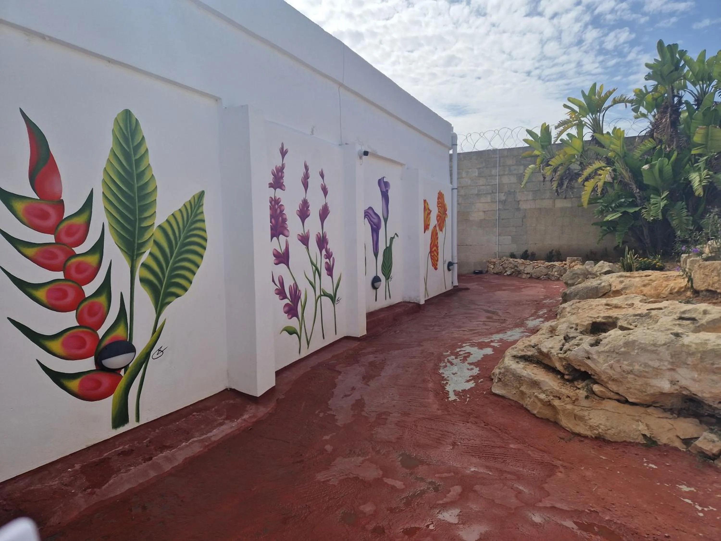 Garden in Cresta Beach Studios