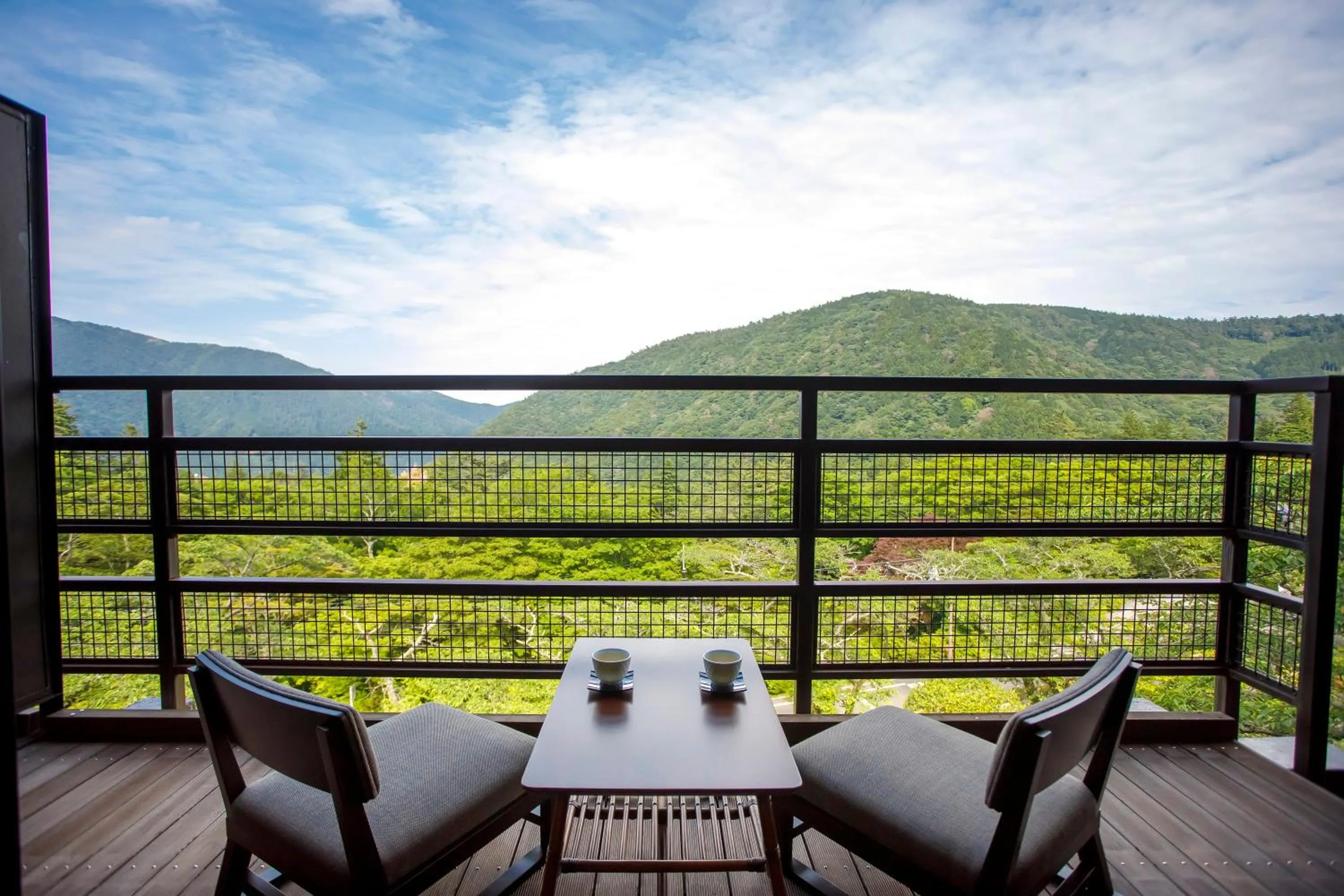 Day in Hakone Kowakien Mikawaya Ryokan