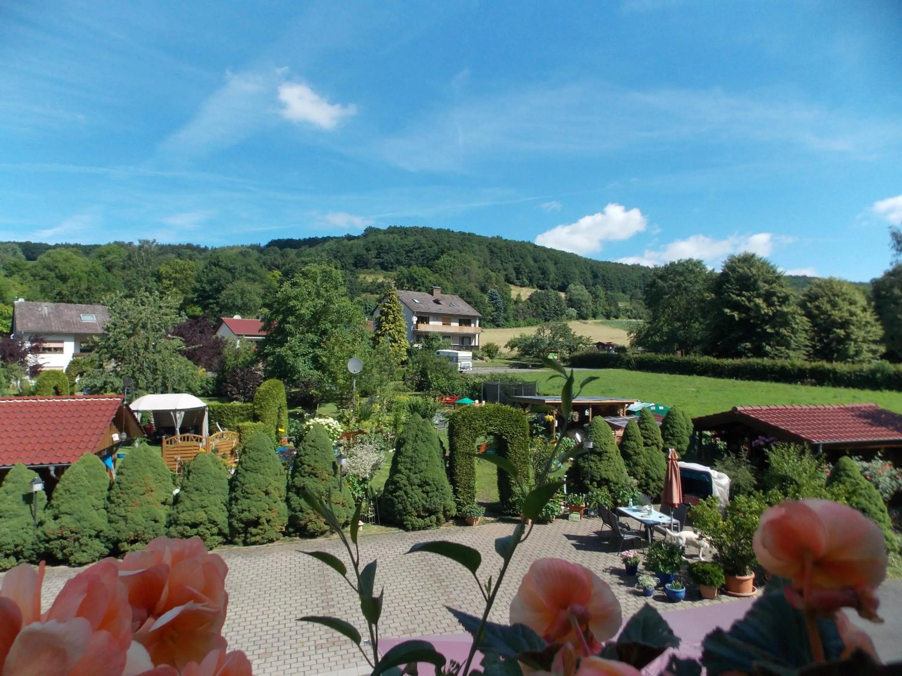 View (from property/room) in Landhotel Fasanenhof
