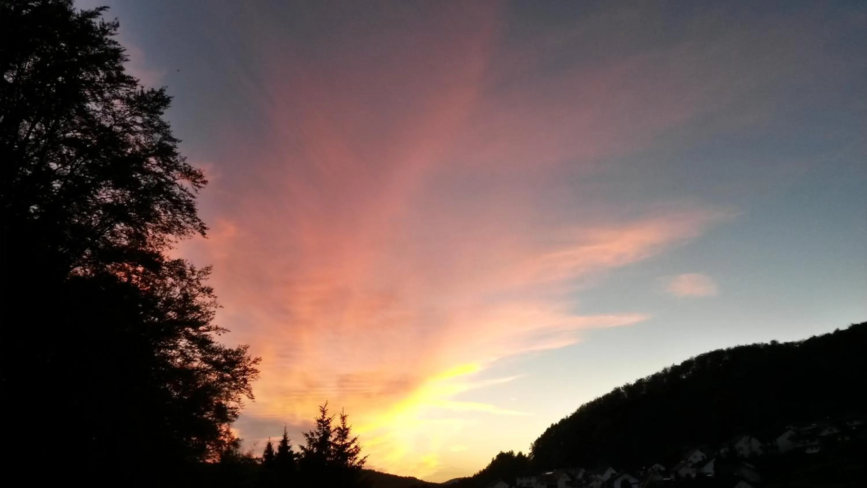 On site in Landhotel Fasanenhof