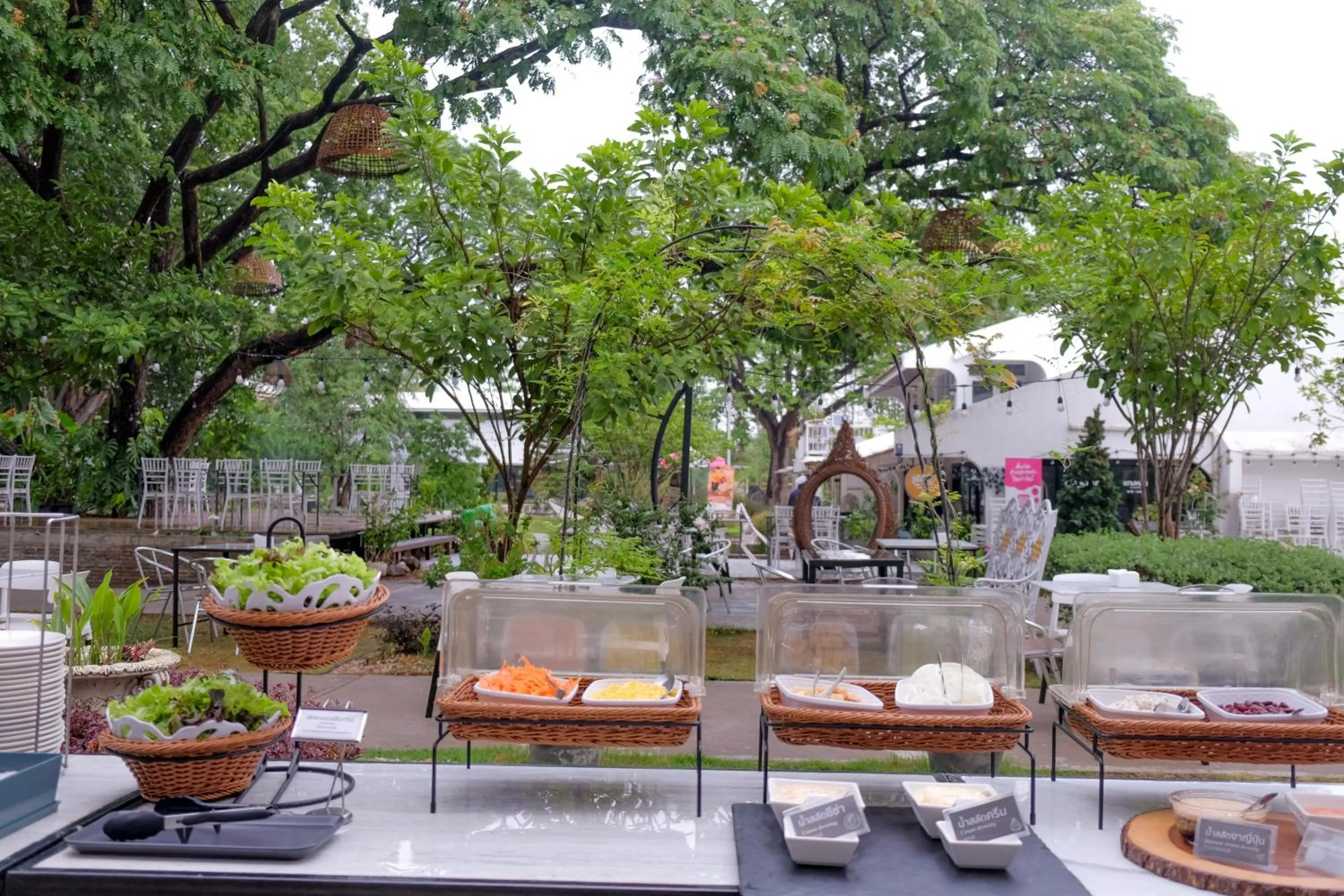 Breakfast in Tree Tara hotel