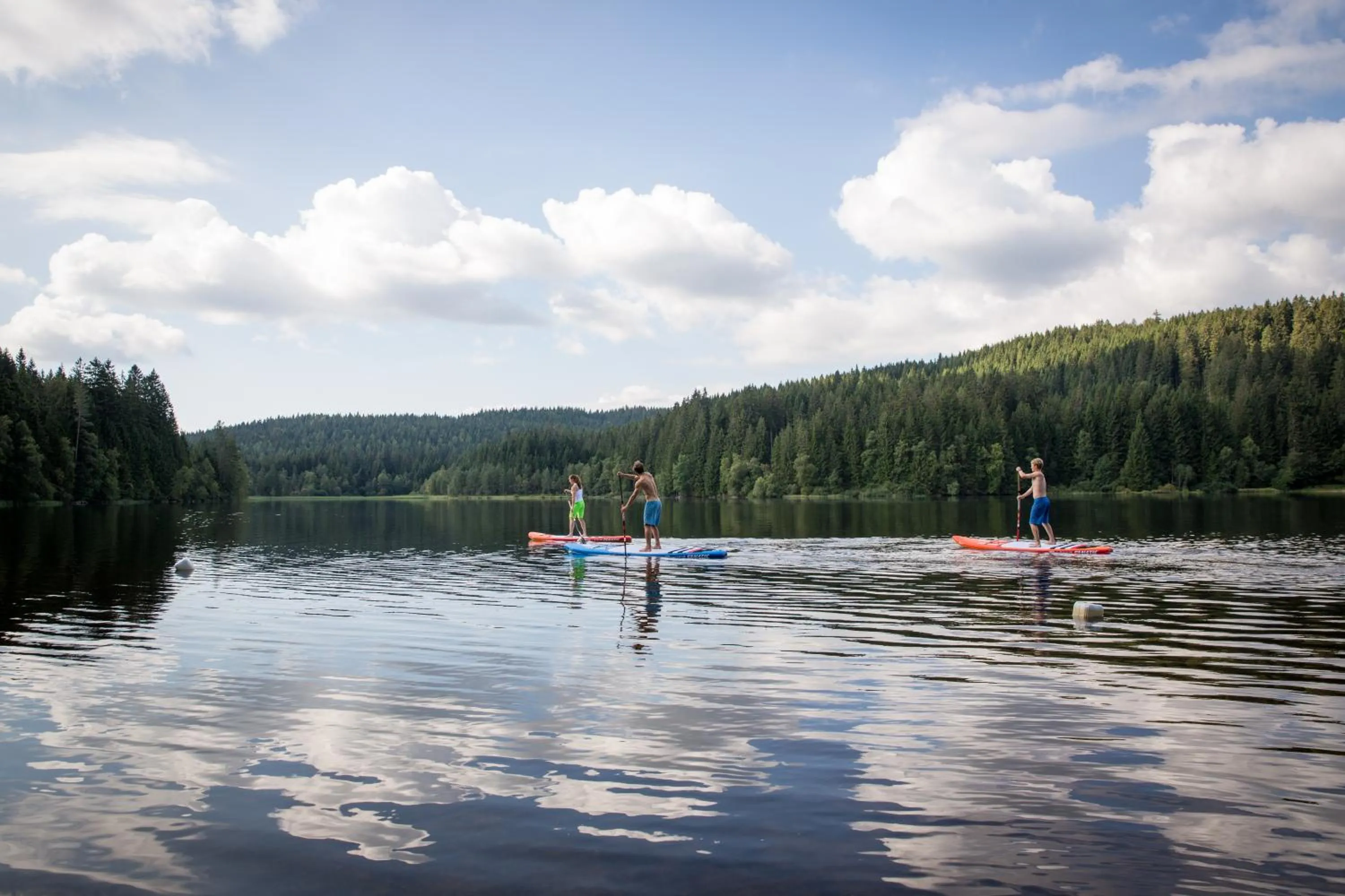 Activities in Hotel Waldeck mit Restaurant "Florian'S"