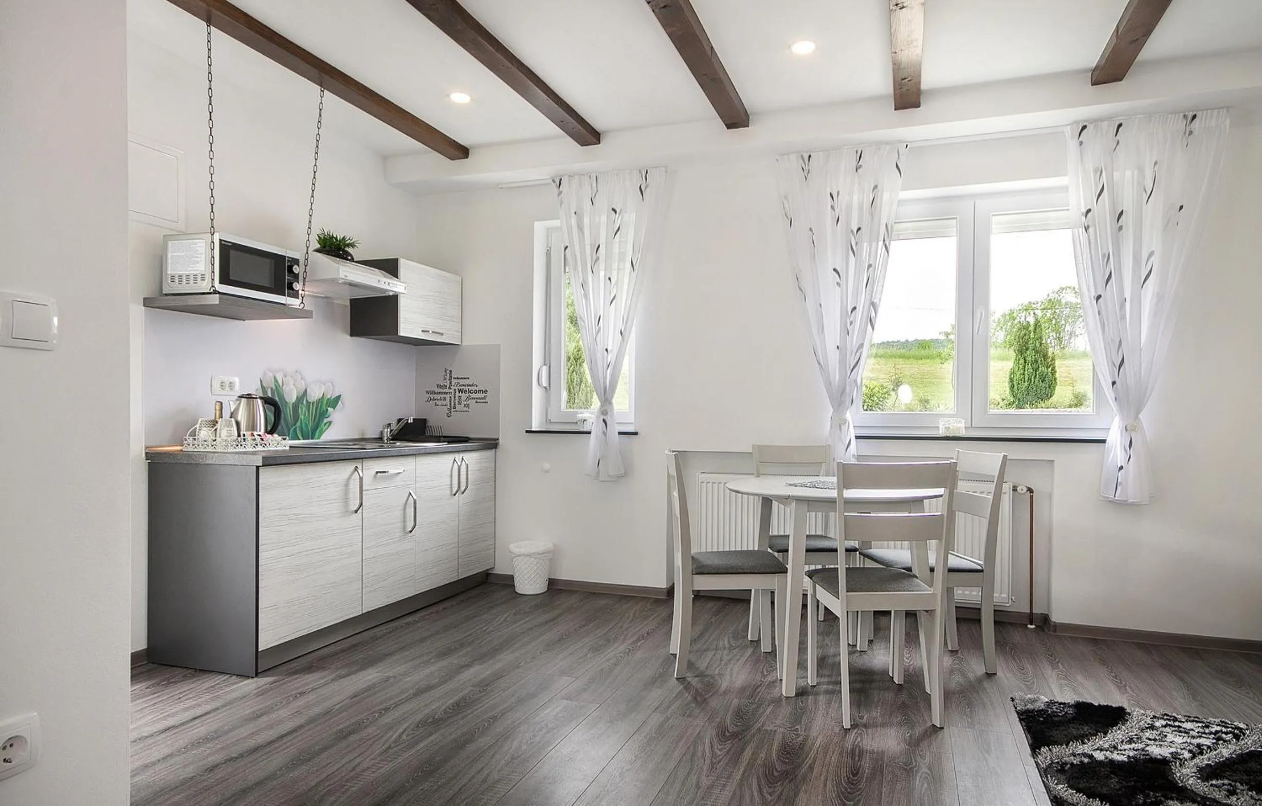 Kitchen or kitchenette in Studio apartments Kaya