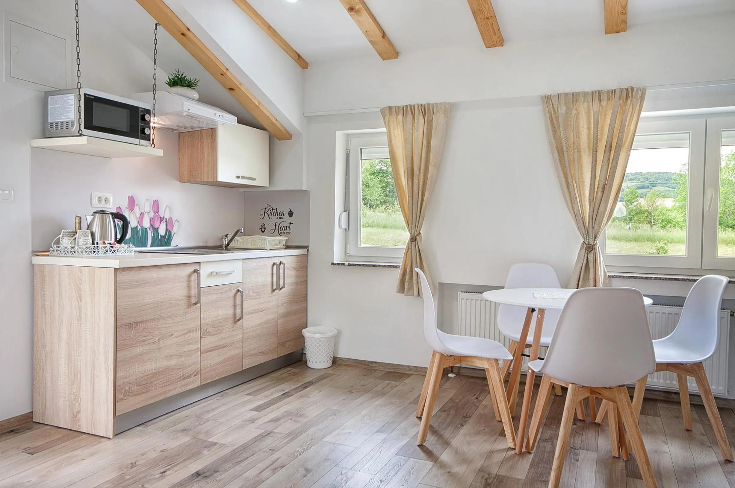 Kitchen or kitchenette in Studio apartments Kaya