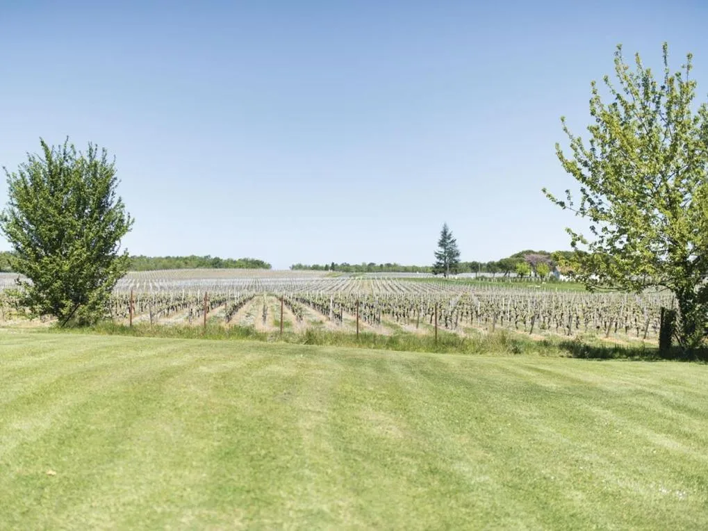 Other in Domaine de Quittignan Brillette