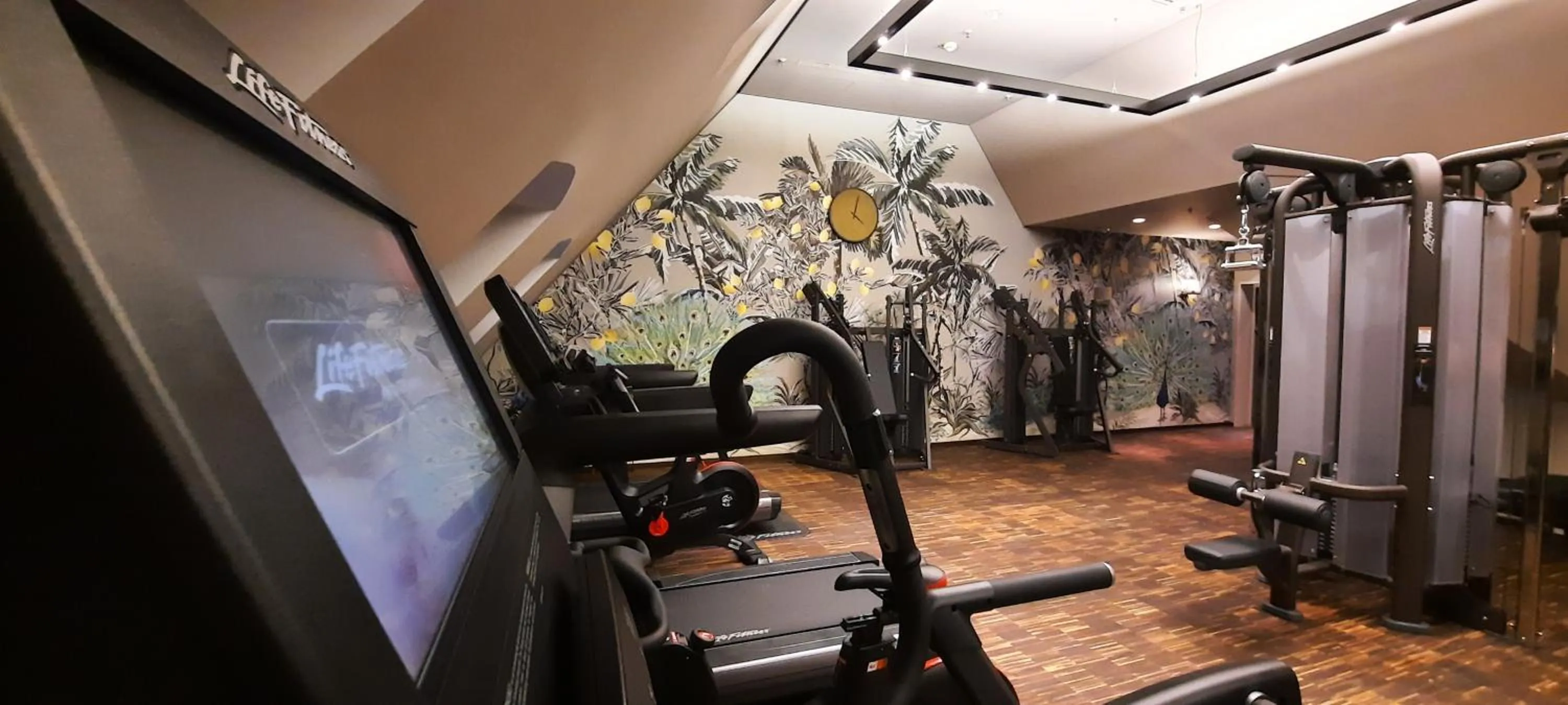 Fitness centre/facilities in Townhouse Dresden