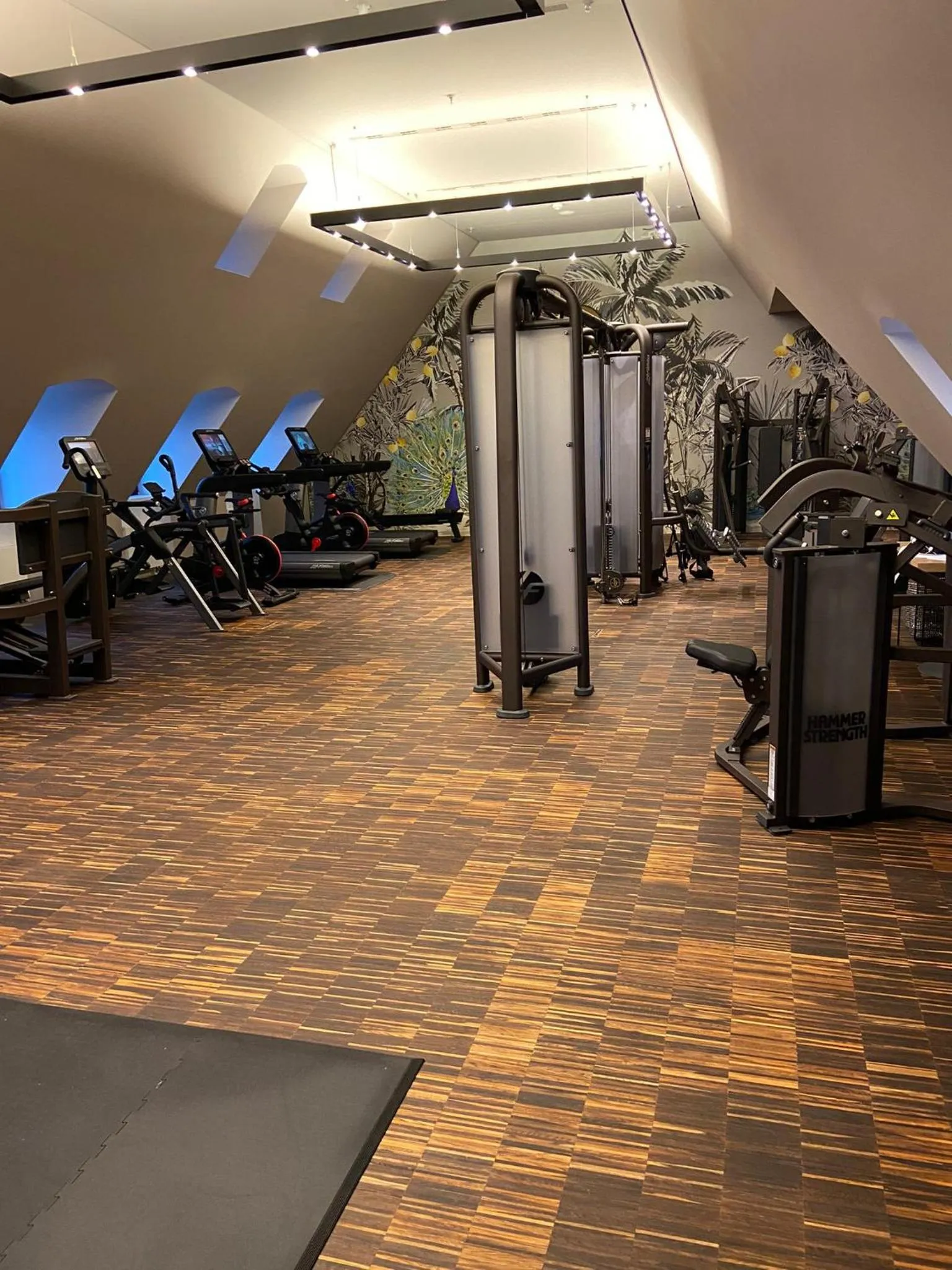 Fitness centre/facilities in Townhouse Dresden