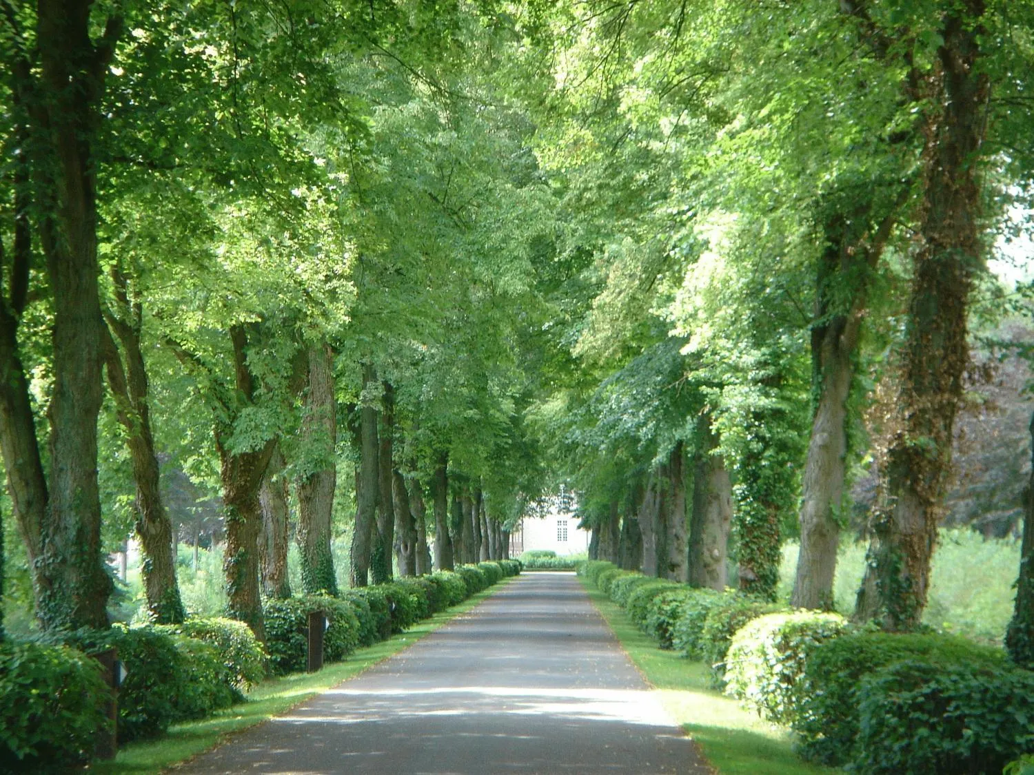 Area and facilities in Land-gut-Hotel Lohmann