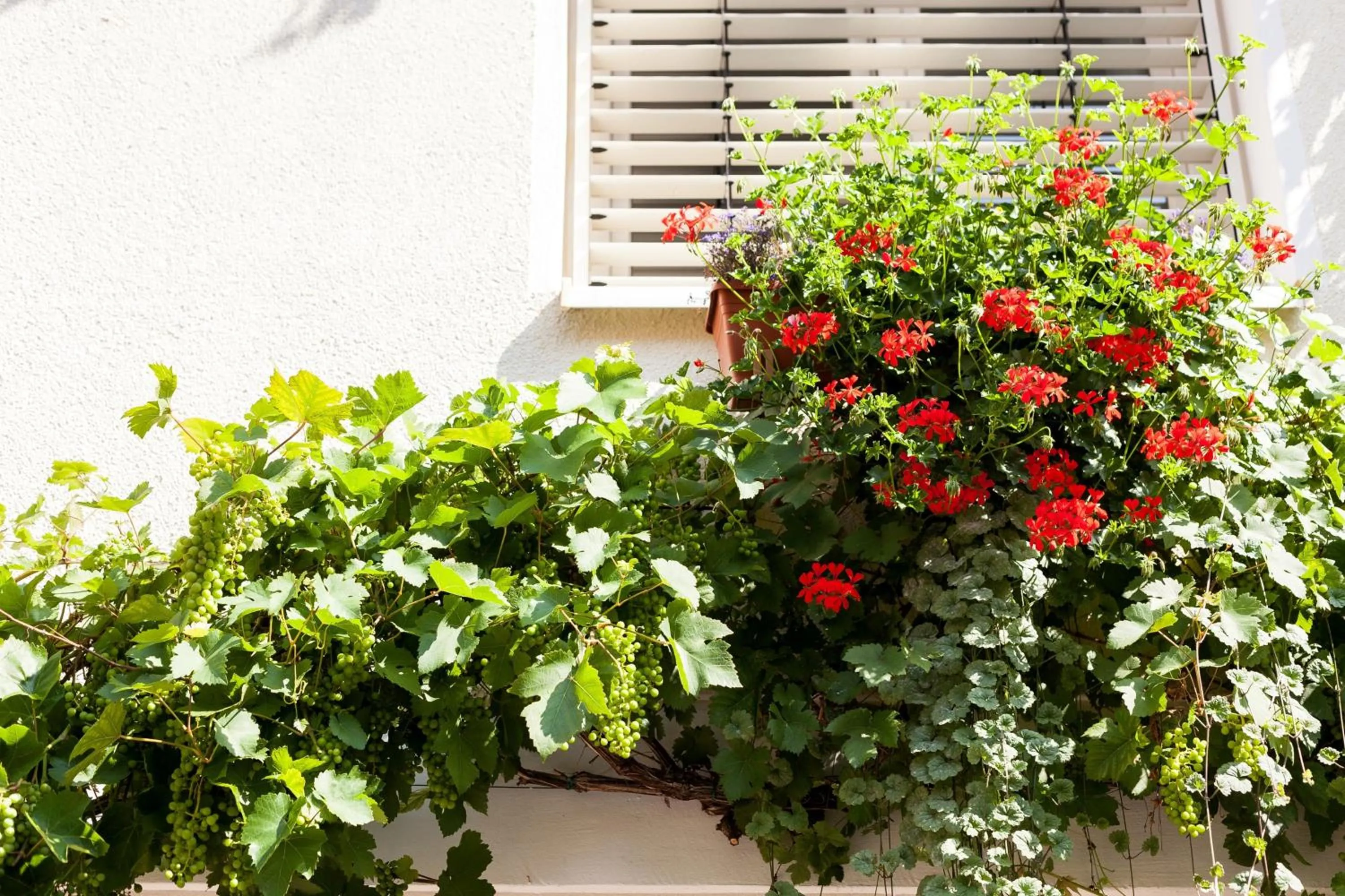 Property building in Hotel Garni Schlossgarten