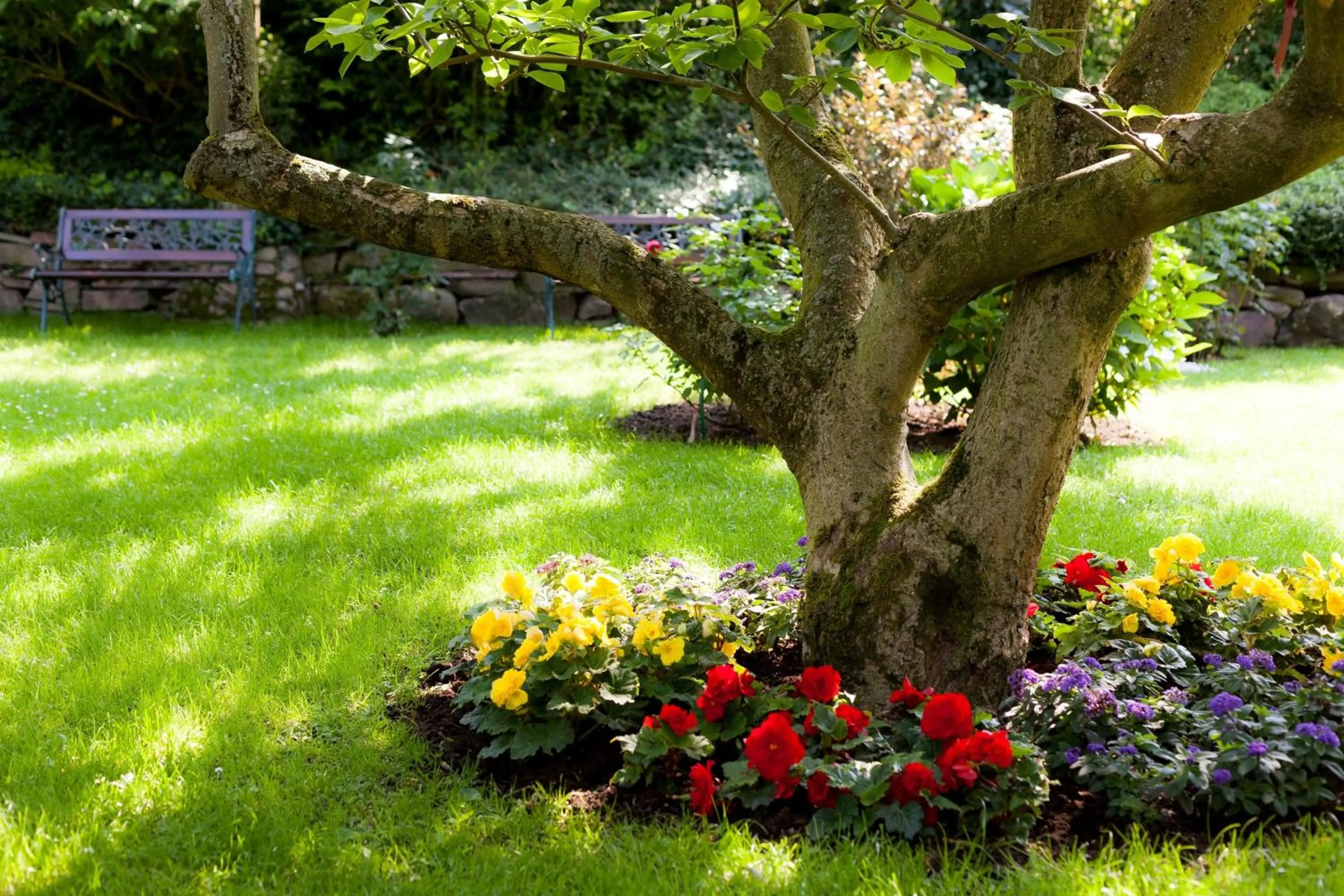 Garden in Hotel Garni Schlossgarten