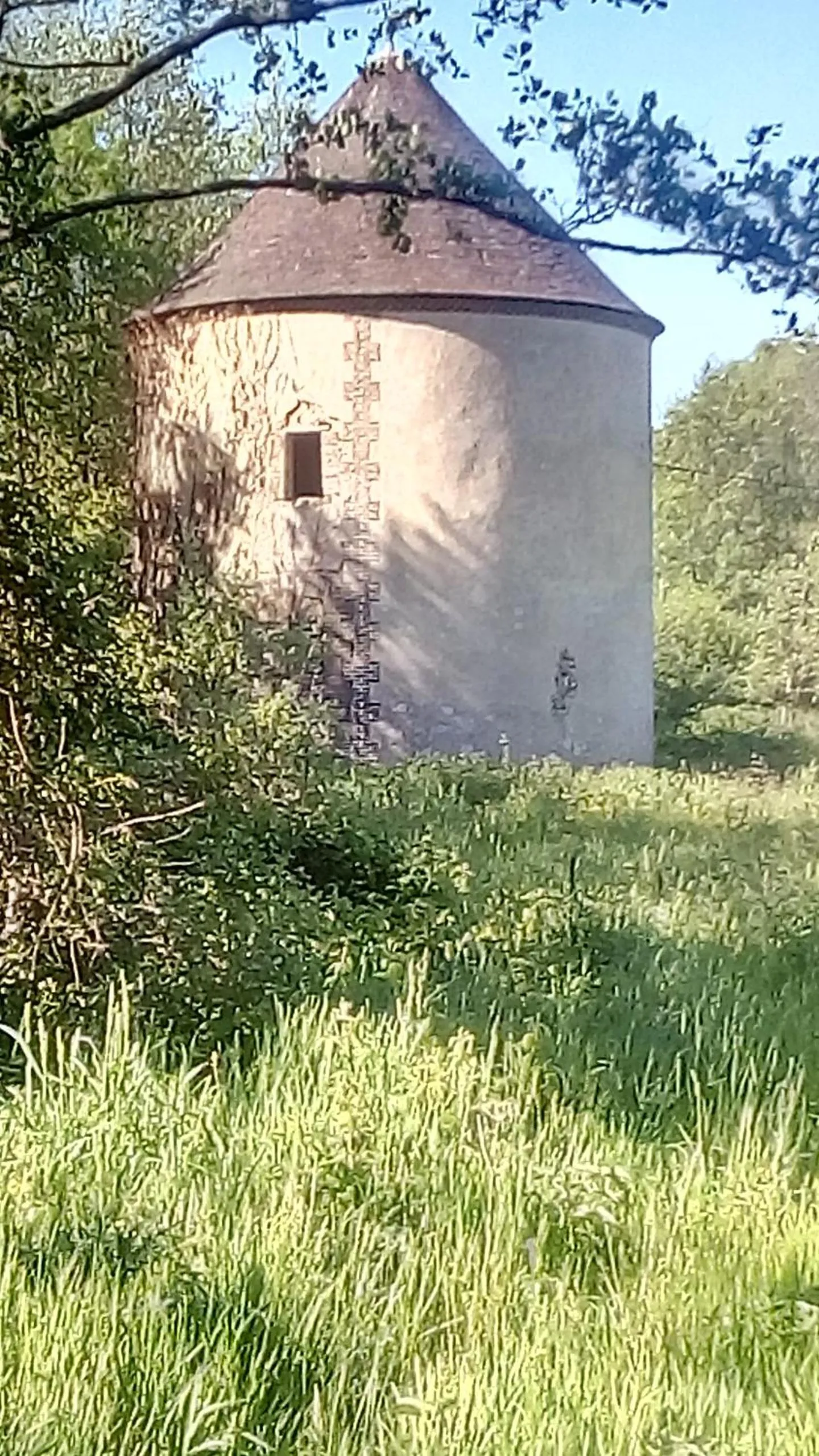 Garden in Domaine de Gentilly