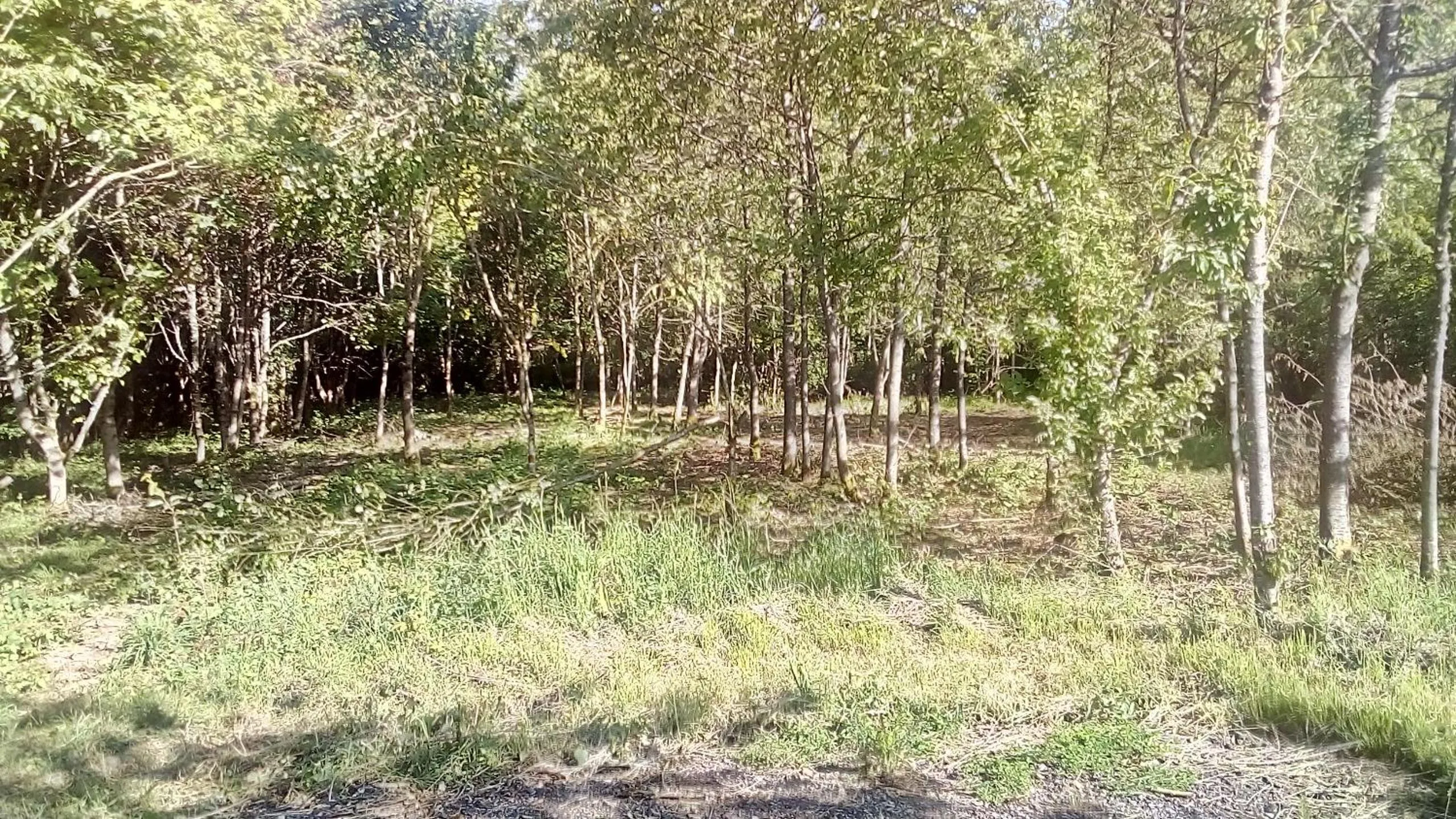 Garden in Domaine de Gentilly