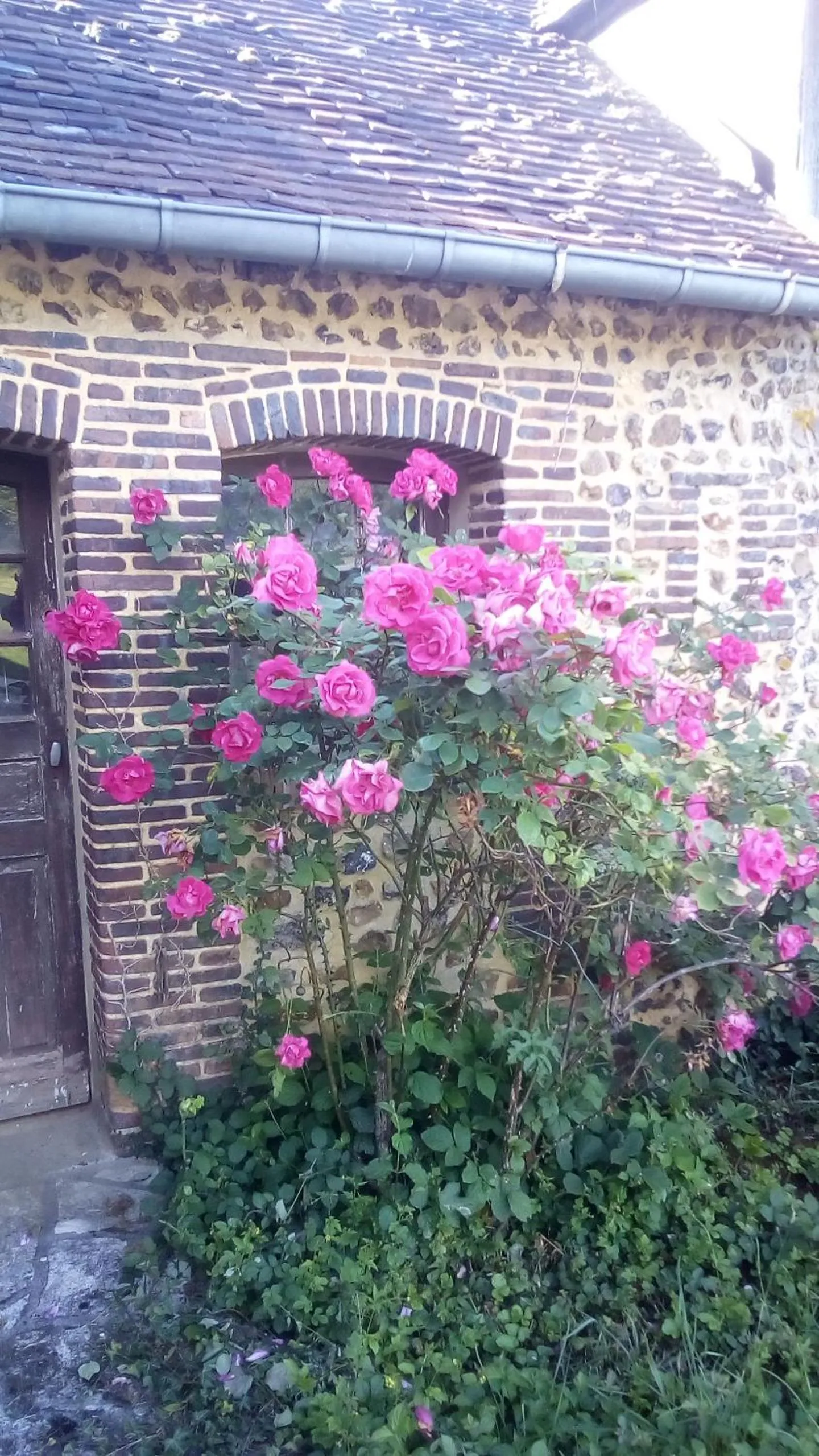 Garden in Domaine de Gentilly