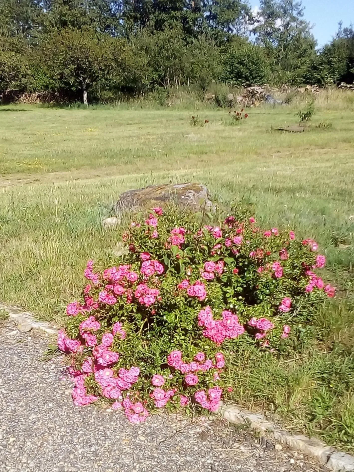 Garden in Domaine de Gentilly
