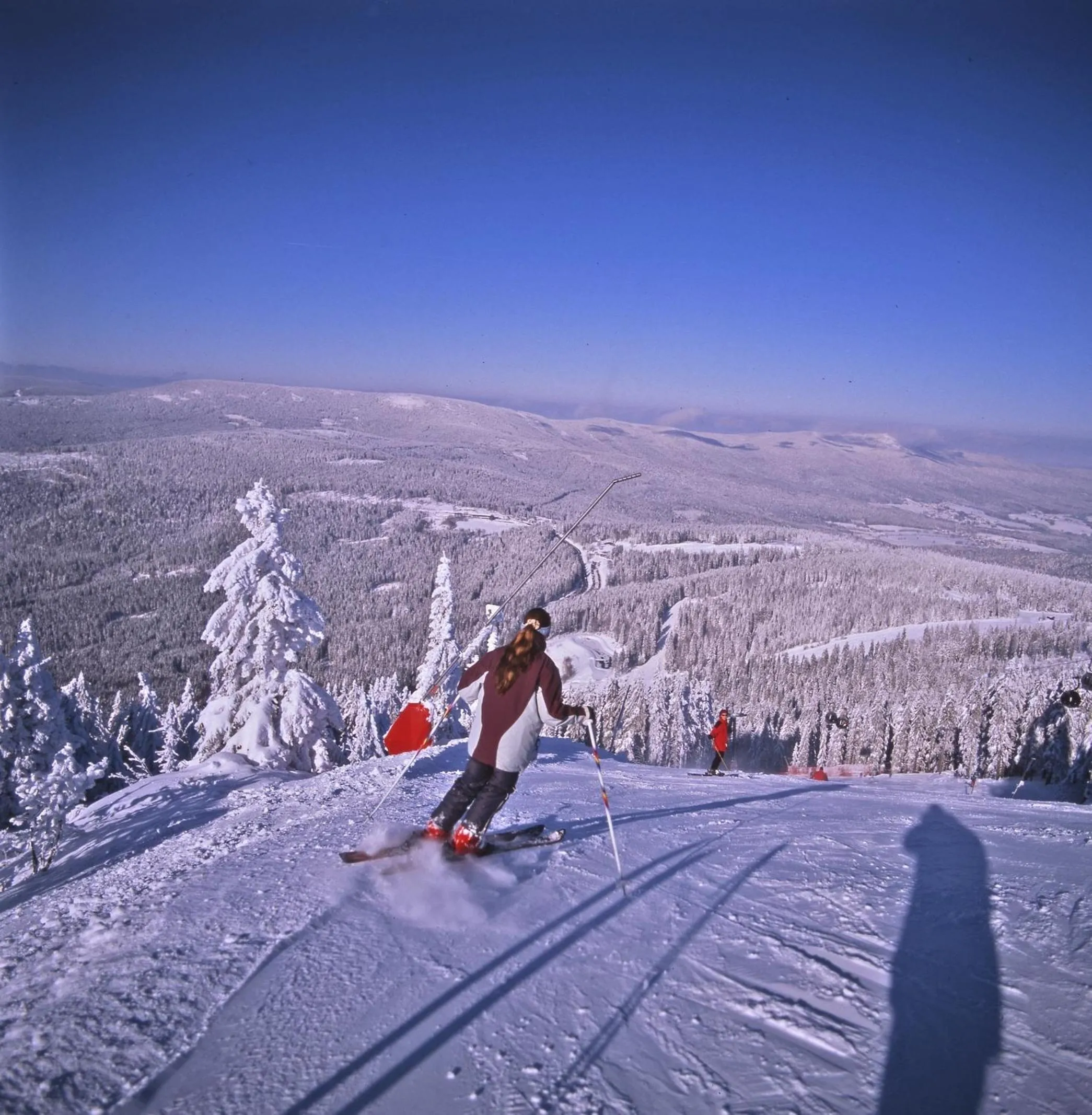 Skiing in Ferienwohnungen König