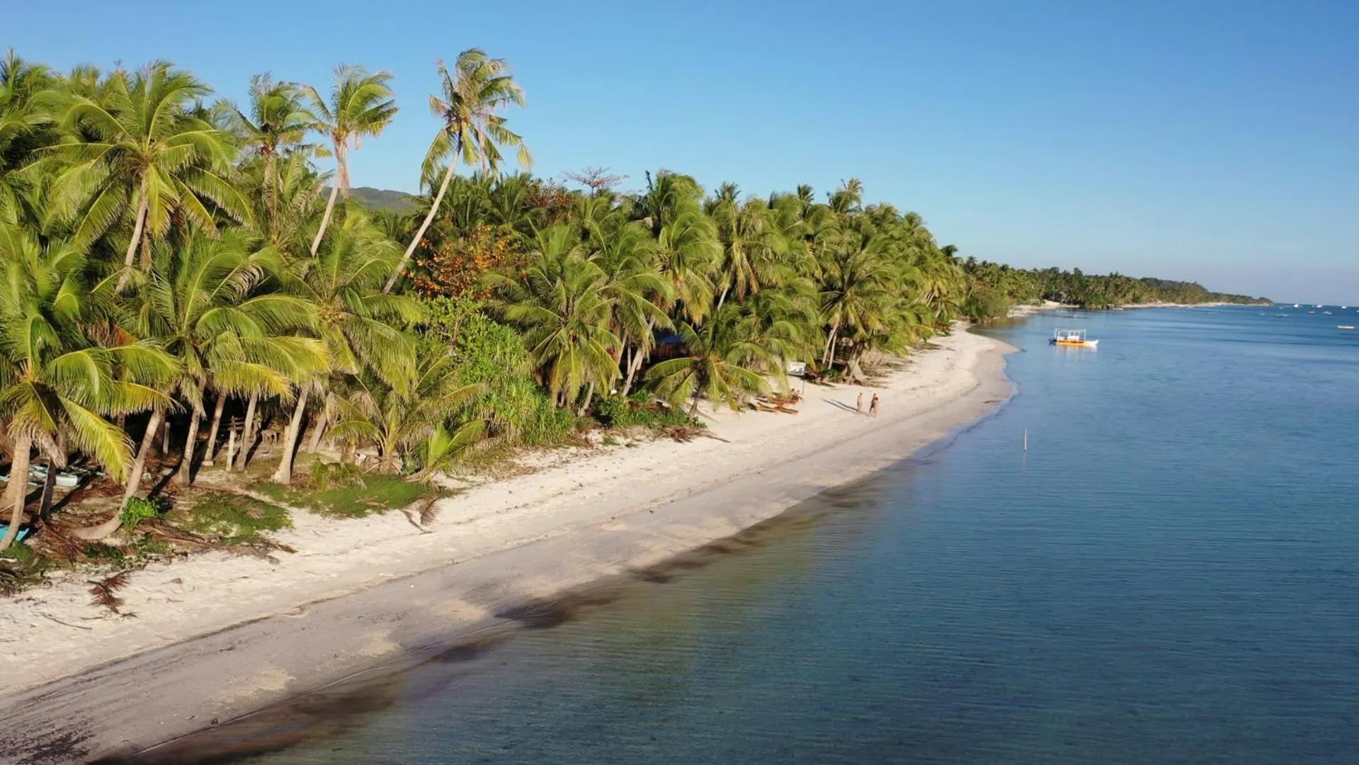 Beach in Apo Diver Beach Resort