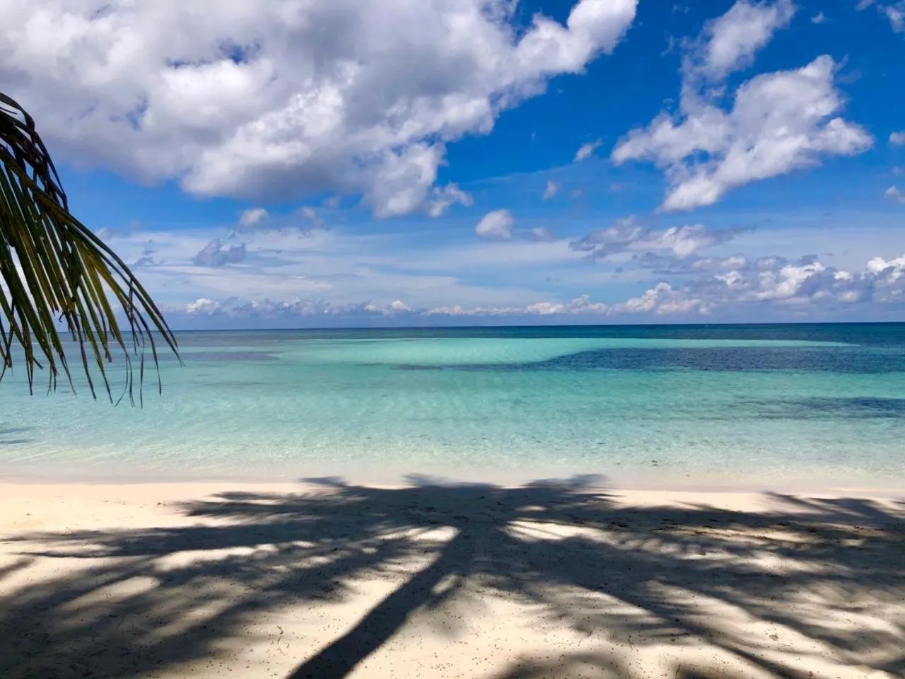 Natural landscape in Apo Diver Beach Resort