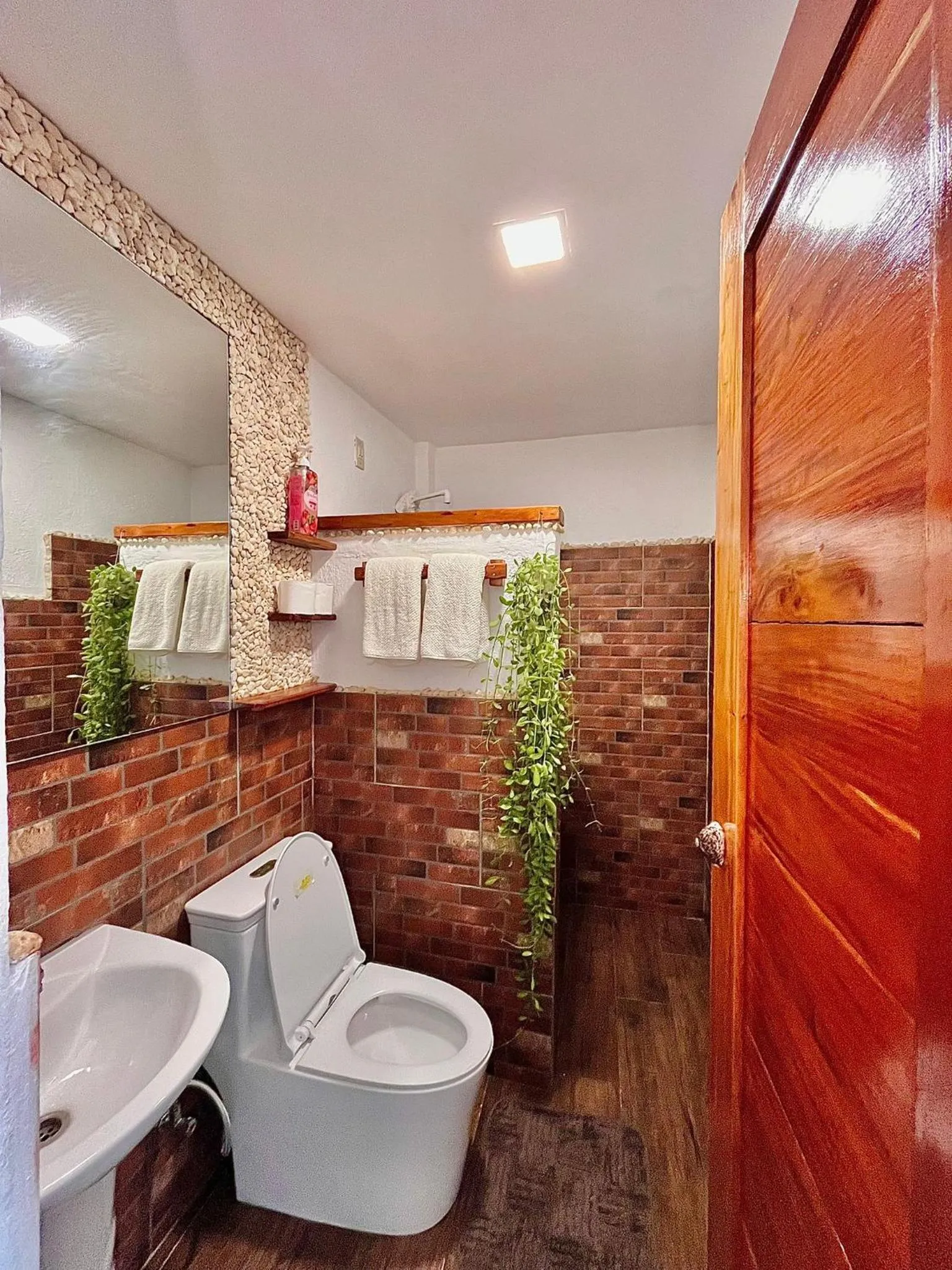 Apo Diver Beach Resort