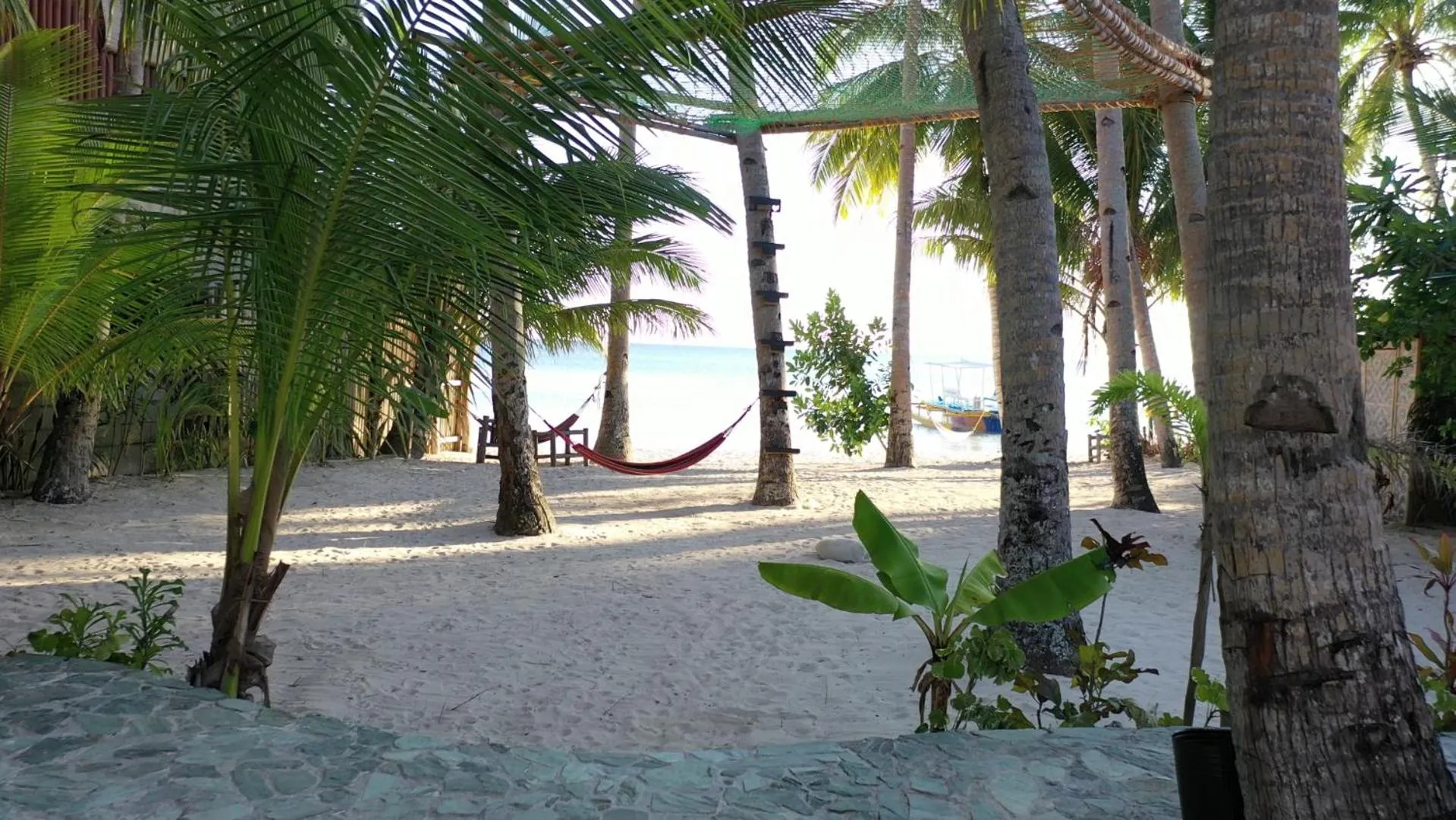 Natural landscape in Apo Diver Beach Resort
