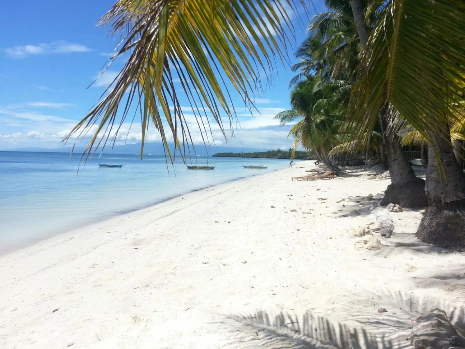 Property building in Apo Diver Beach Resort