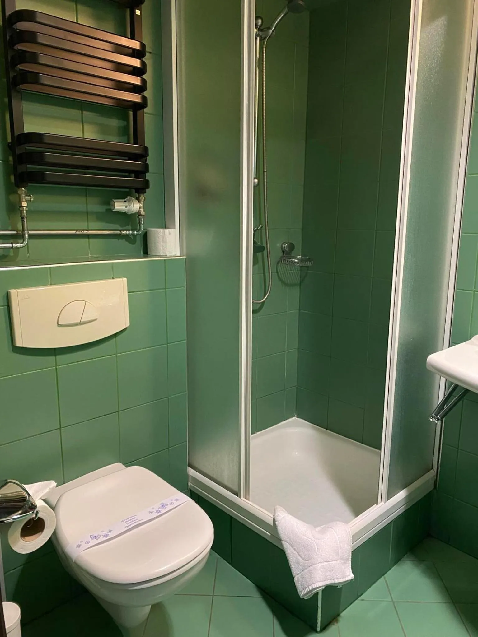 Shower in CKS Warszawa (Centrum Konferencyjno-Szkoleniowe CS Natura Tour)