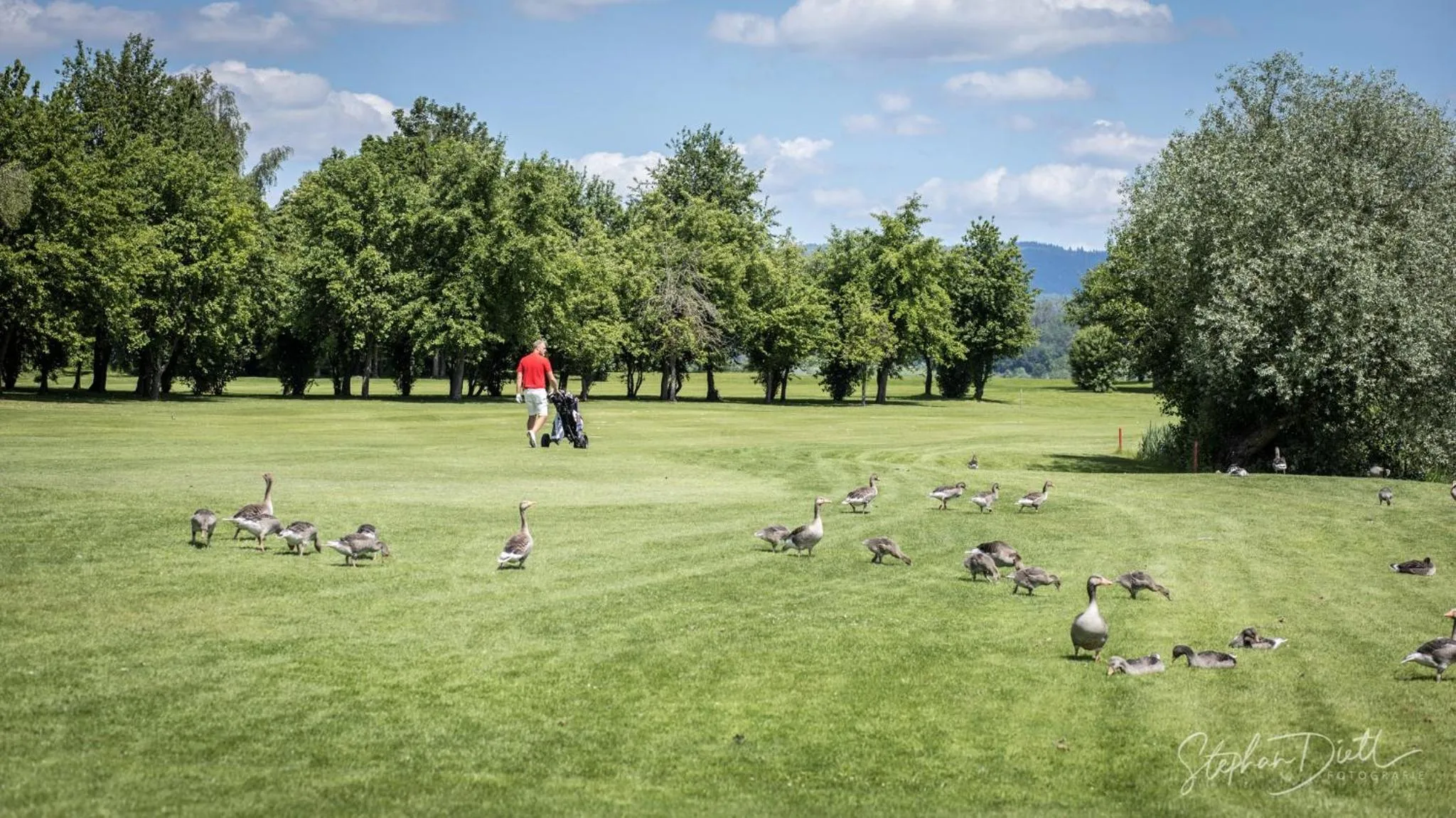 Golfcourse in Bachhof Resort Apartments
