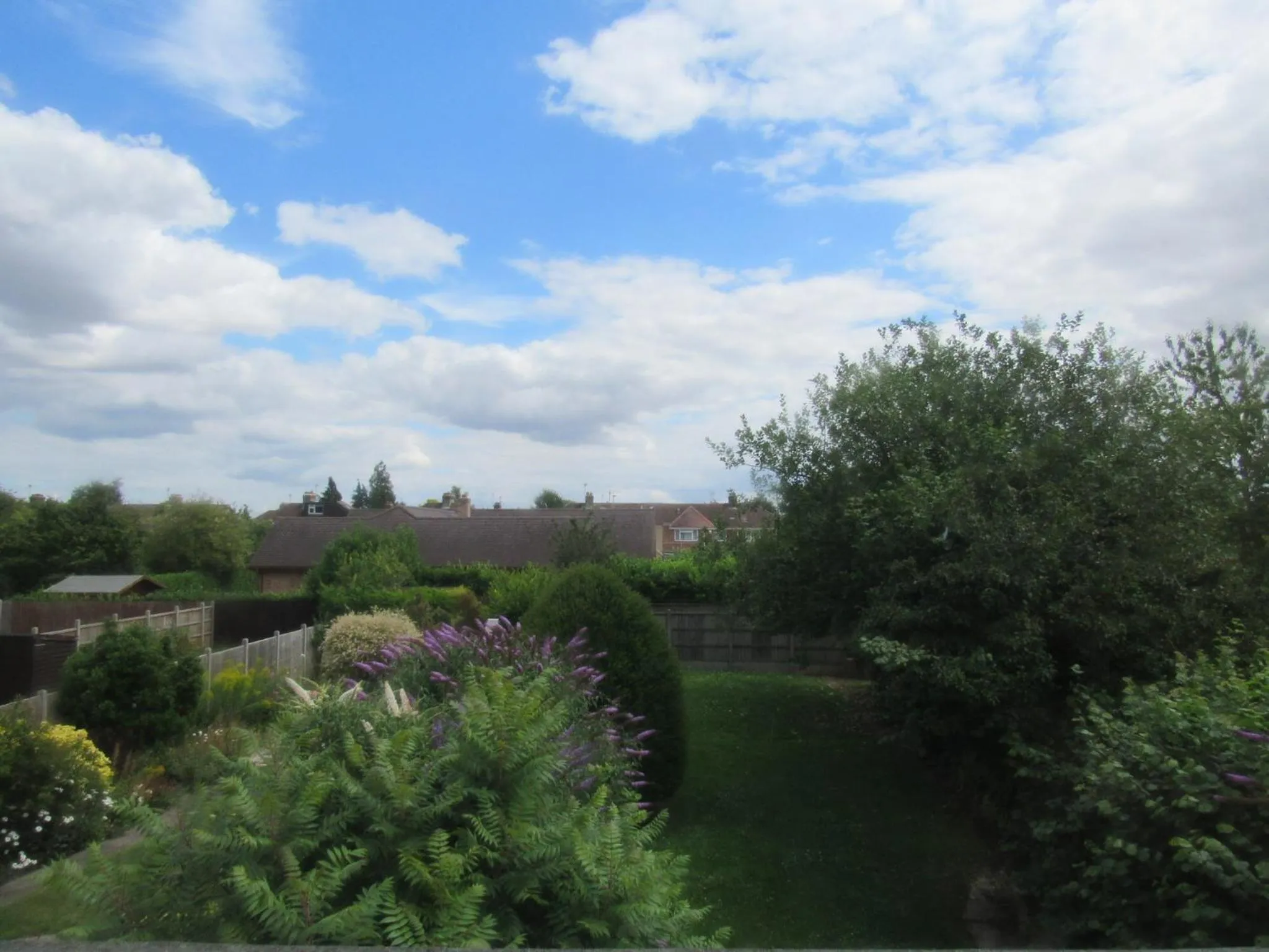 The Cambridge Suites - Tas Accommodations