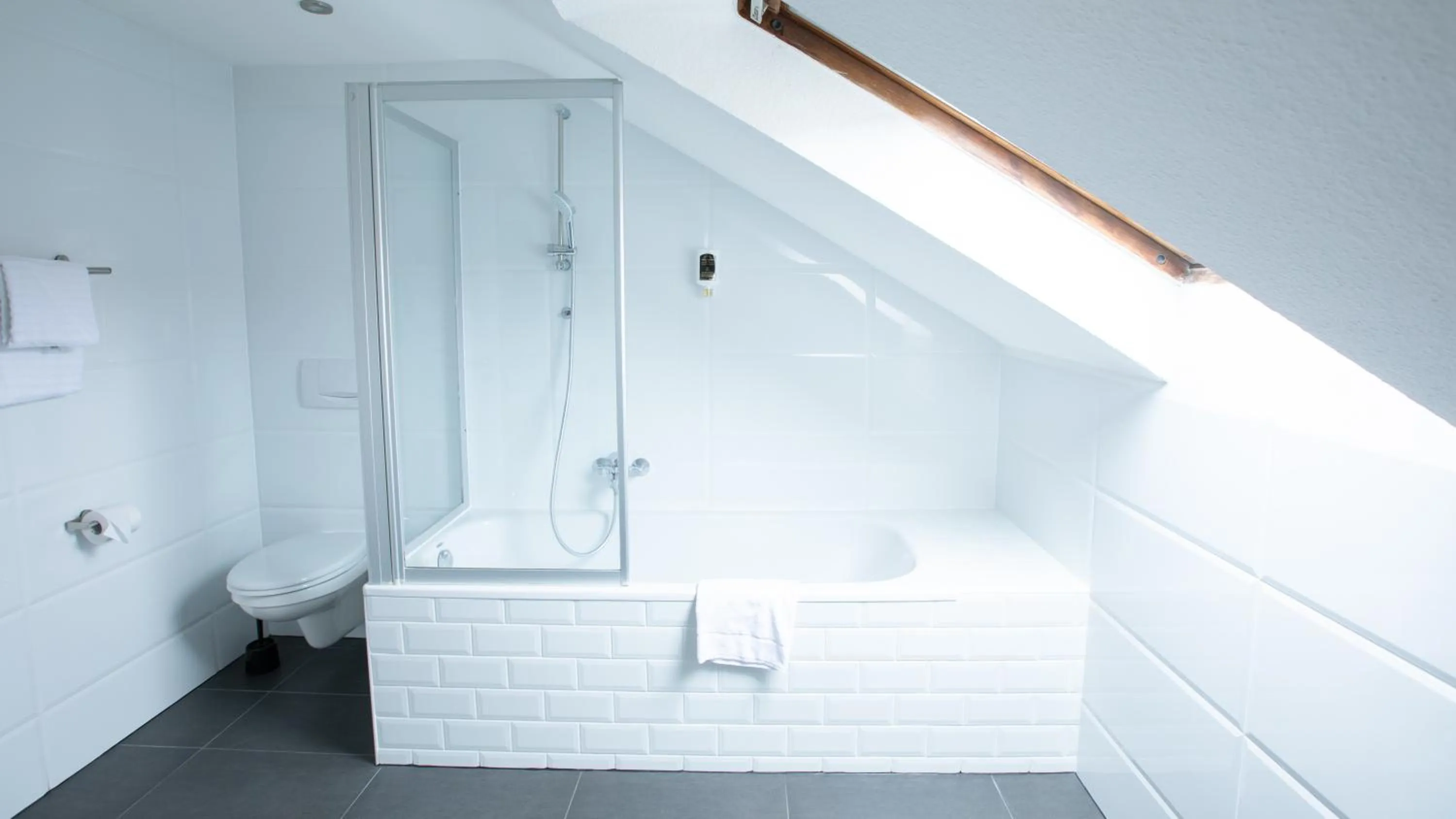 Shower in Hotel Elite