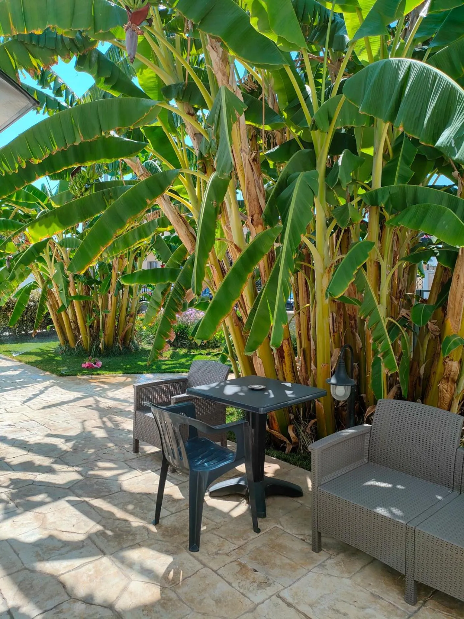 Garden view in Il Negramaro