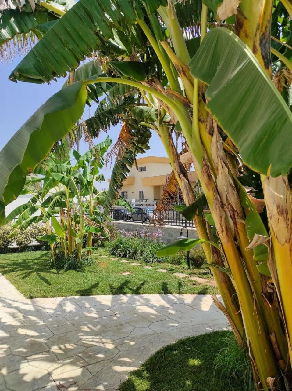 Garden in Il Negramaro