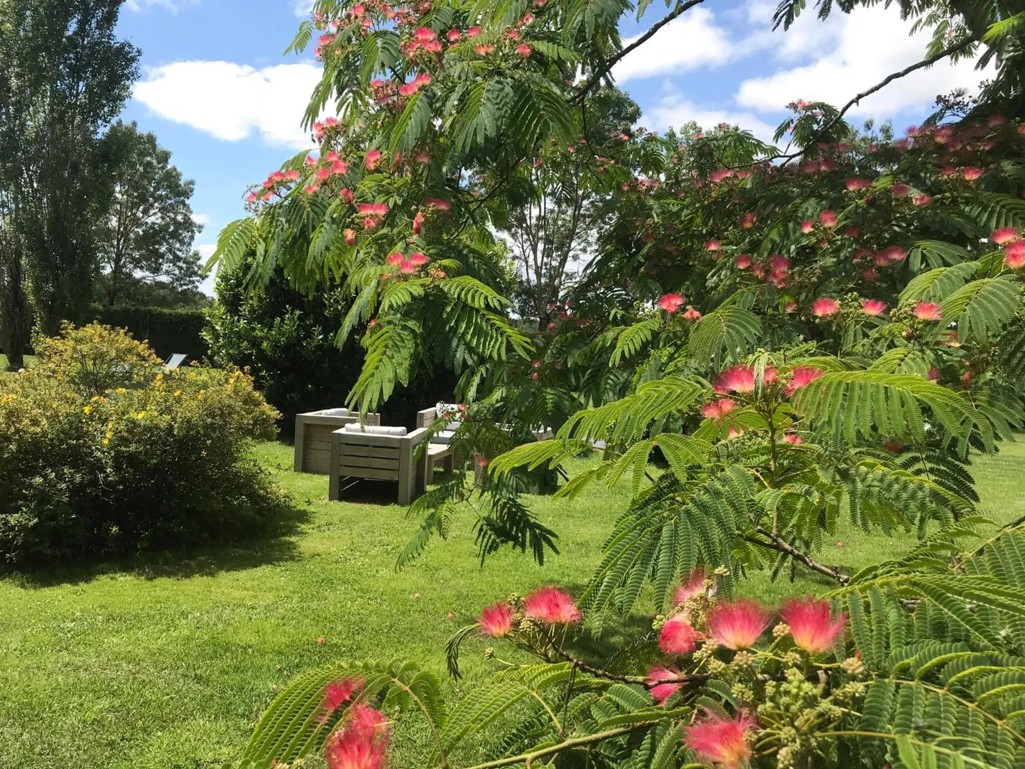 Garden in Logis de Pierre Levée
