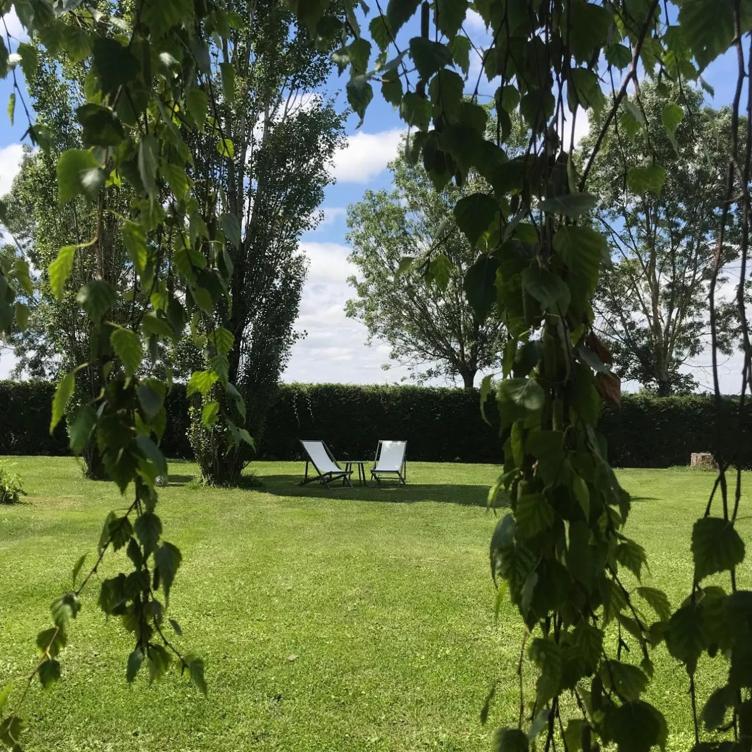 Garden in Logis de Pierre Levée