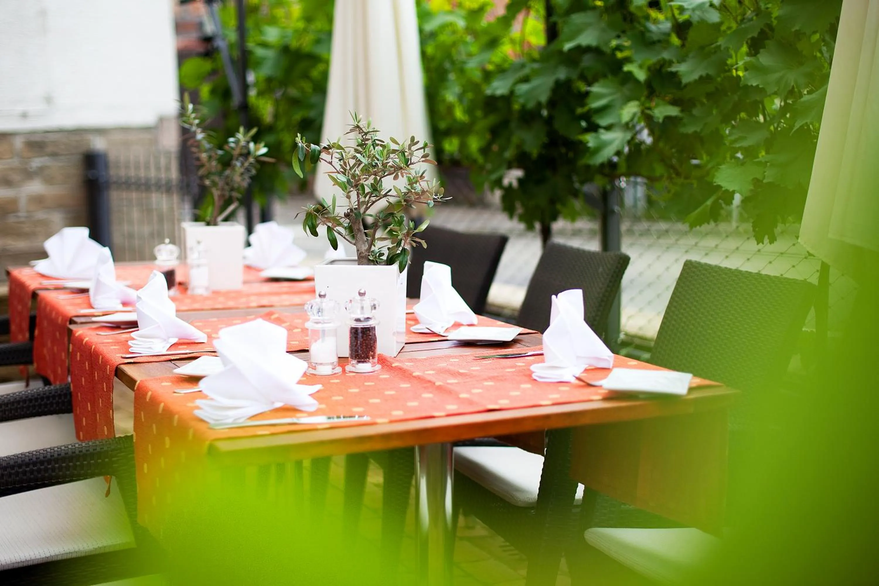 Balcony/Terrace in Hotel Restaurant Lamm Hebsack