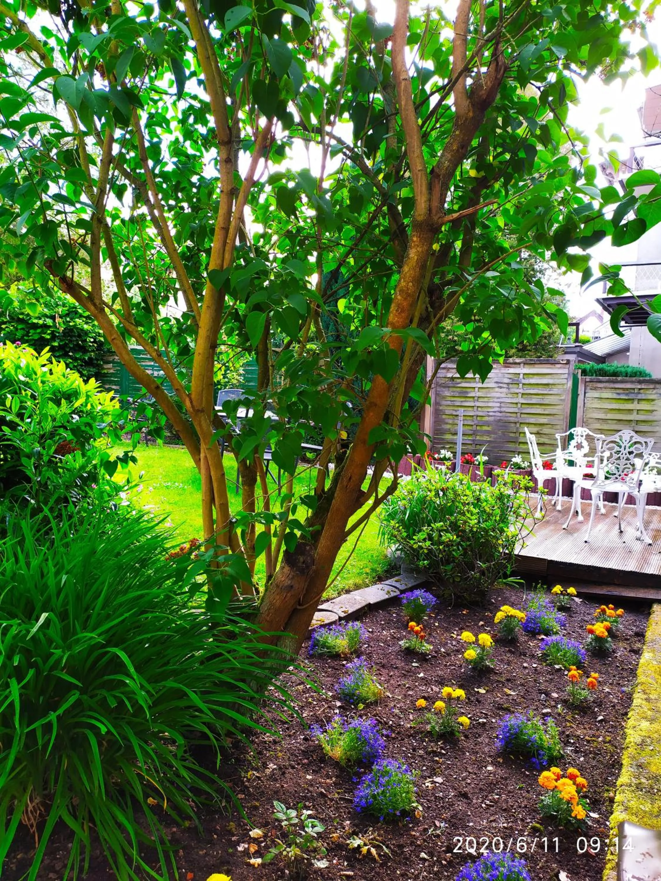 Garden in Goethe Hotel
