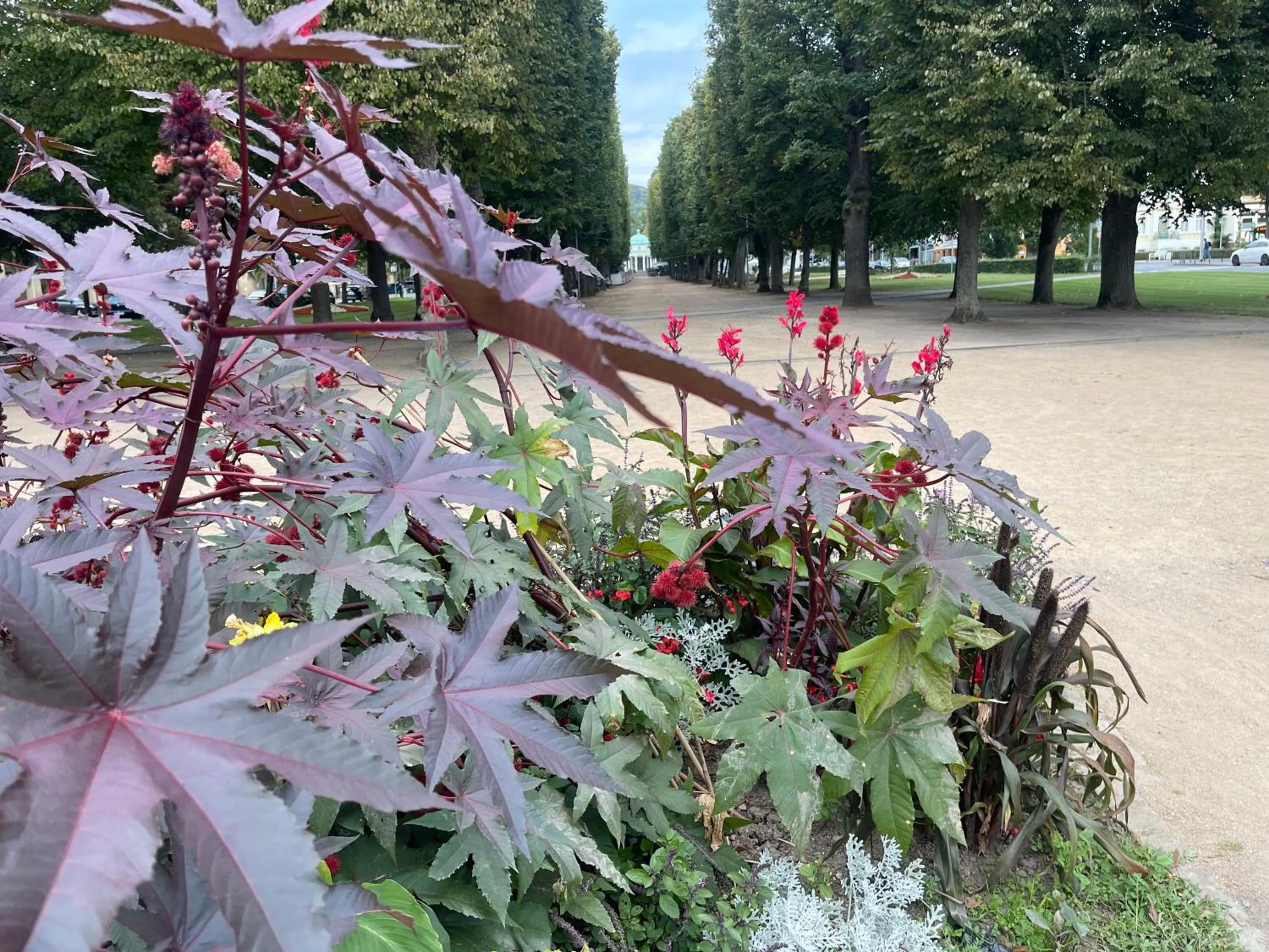Natural landscape in Goethe Hotel