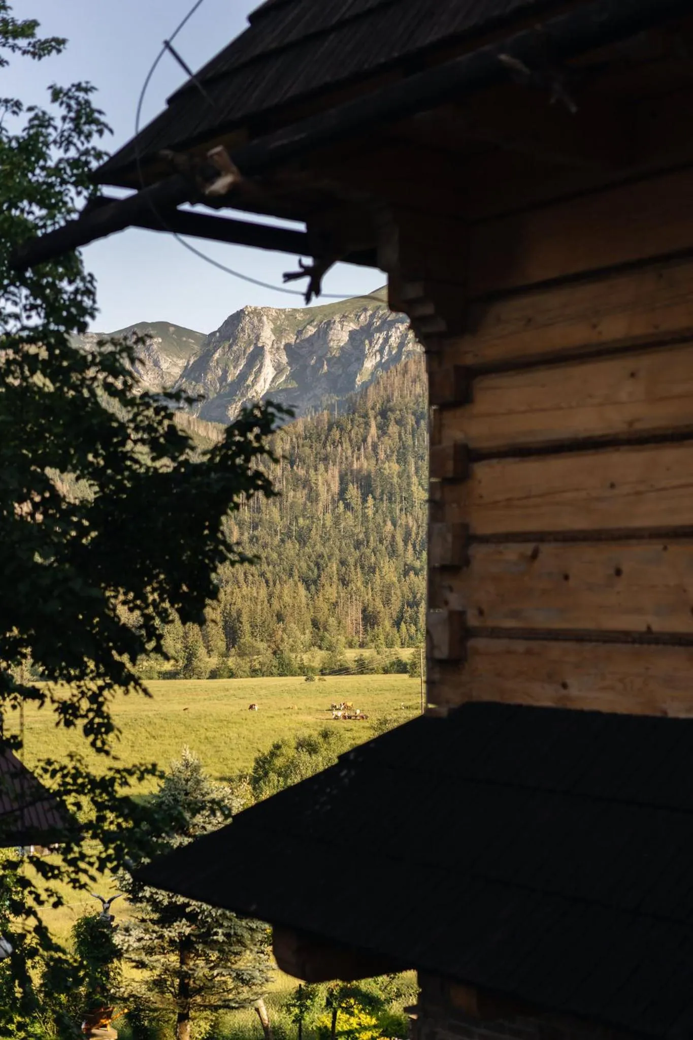 Natural landscape in Podhalańskie Tarasy - LoftAffair