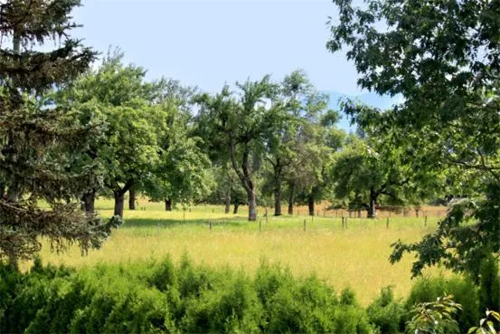 Day in Hotel Friedenseiche