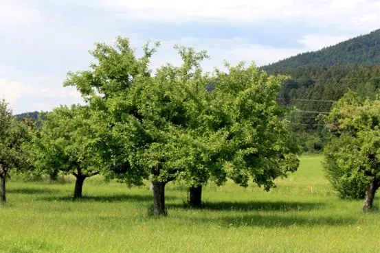 Day in Hotel Friedenseiche