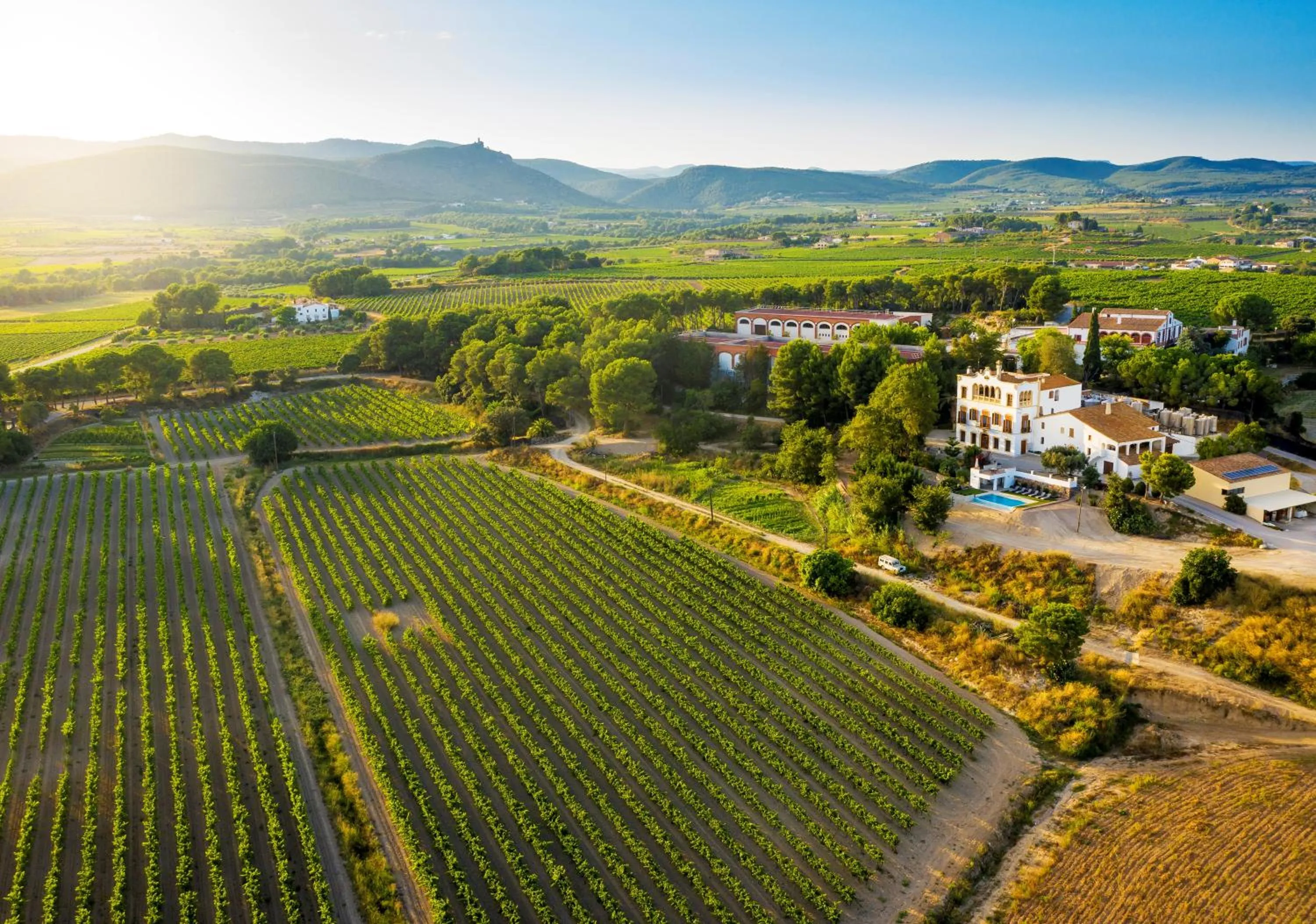 Bird's eye view in Bolet Casa Modernista