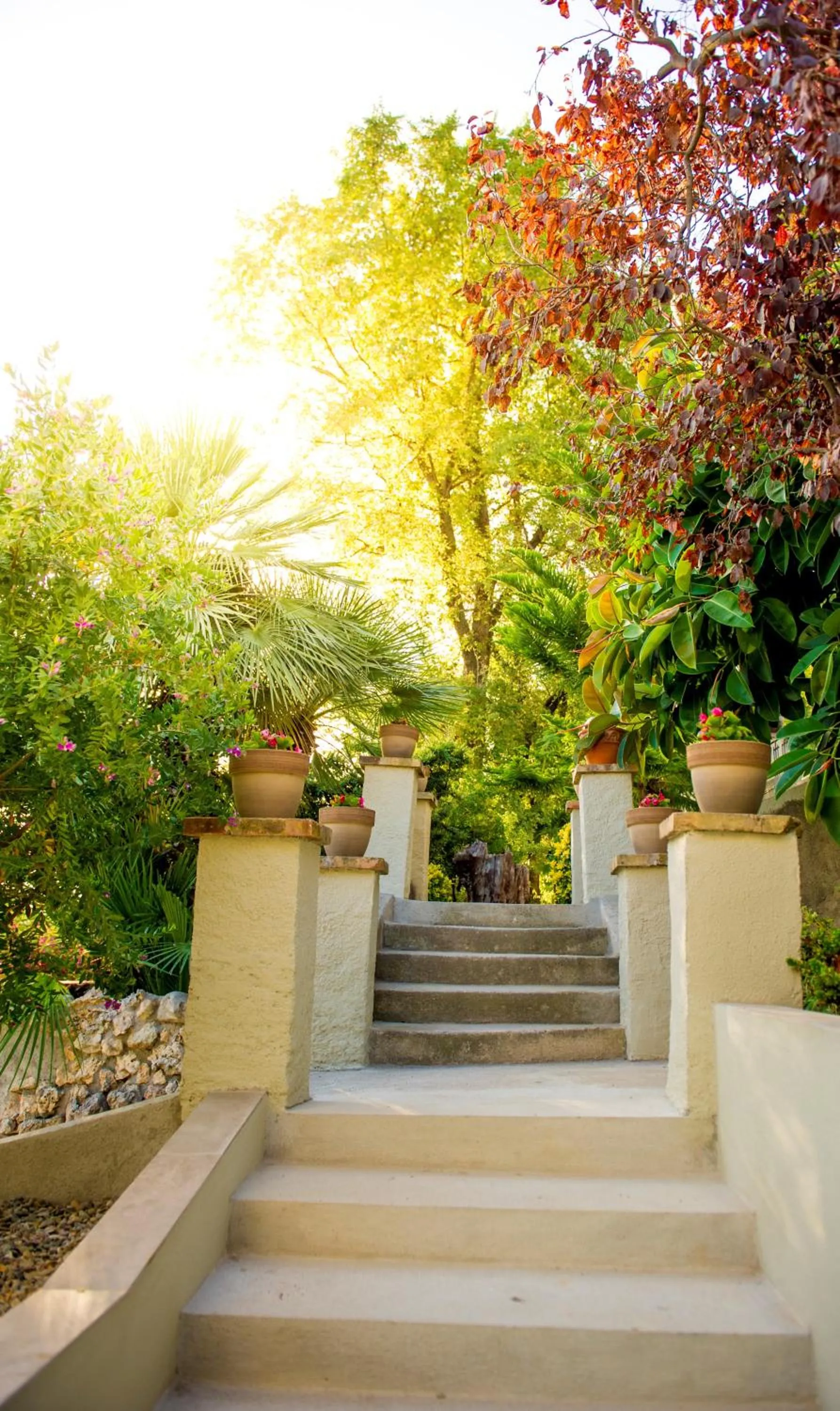 Garden in Bolet Casa Modernista