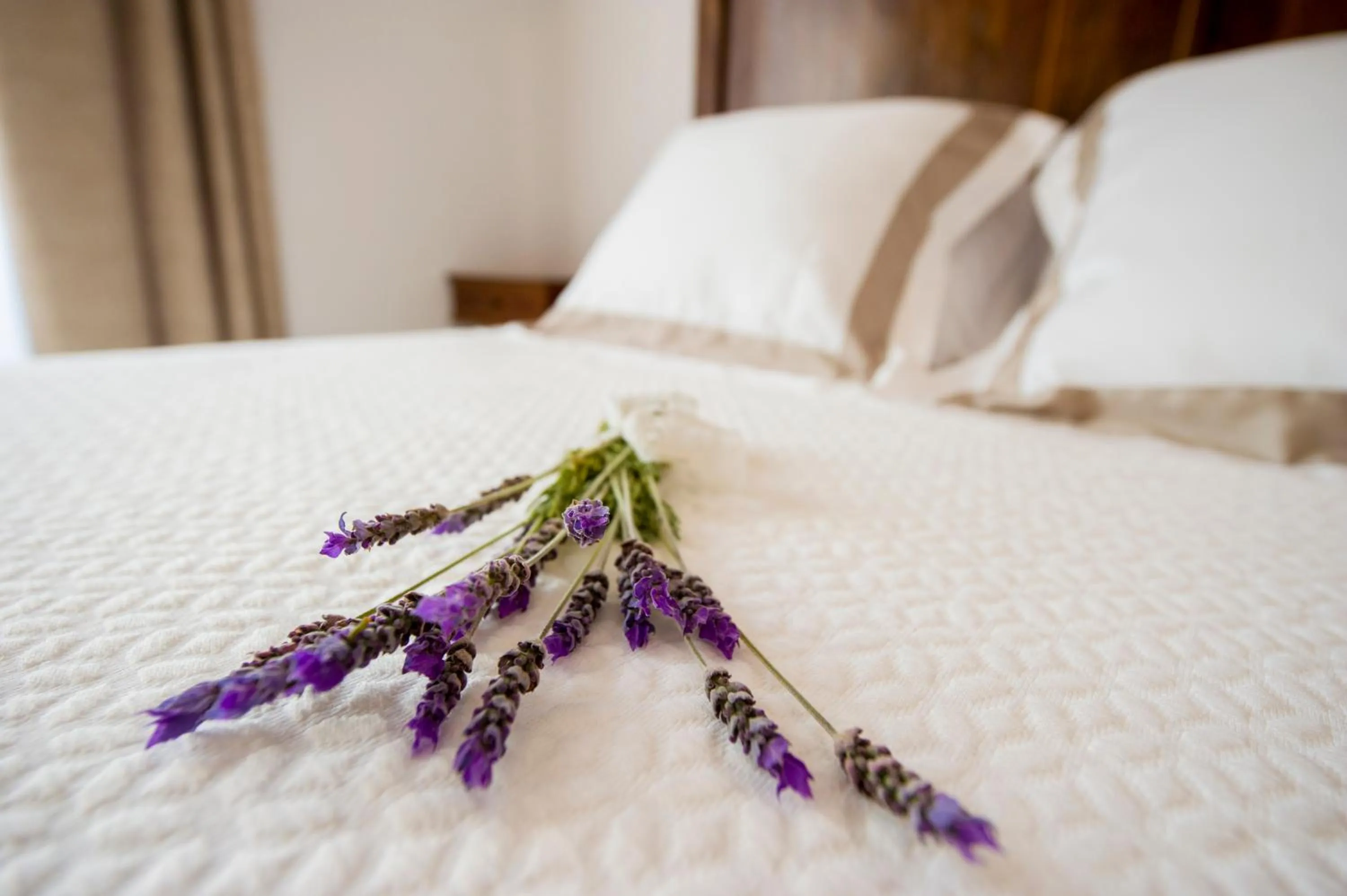 Decorative detail, Bed in Bolet Casa Modernista