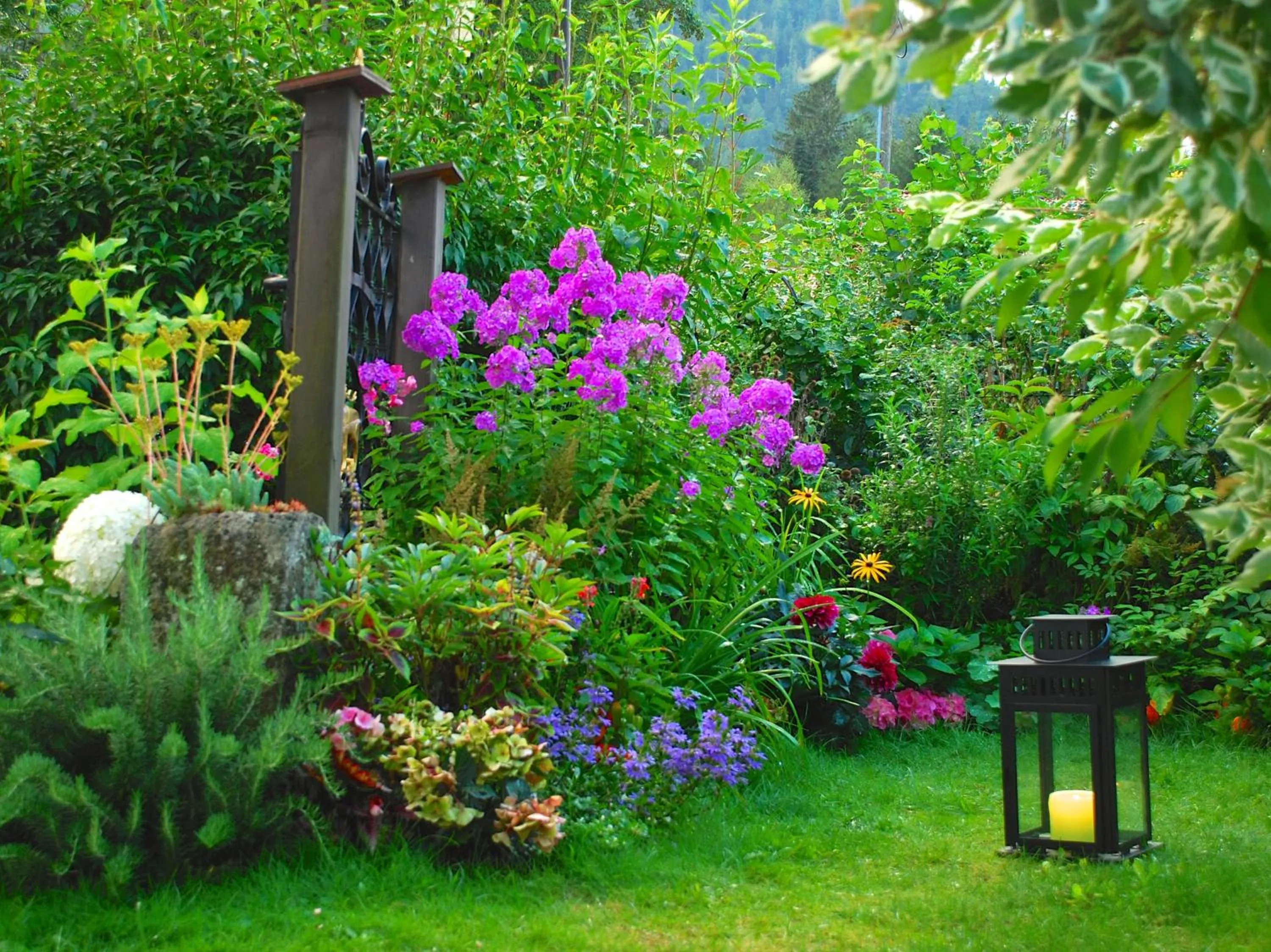Garden in Hotel Hubertus Schliersee