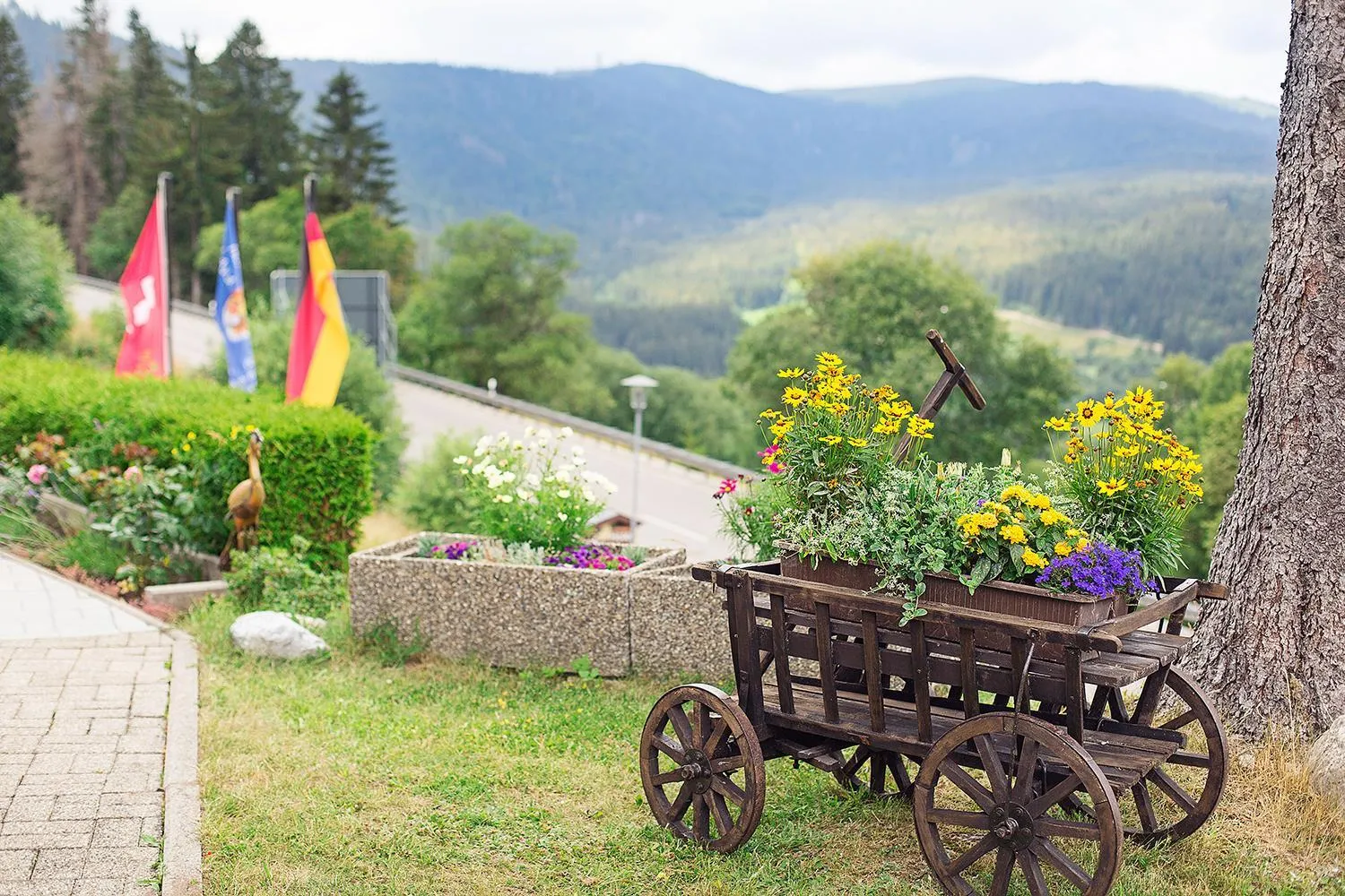 Natural landscape in Hotel Diana