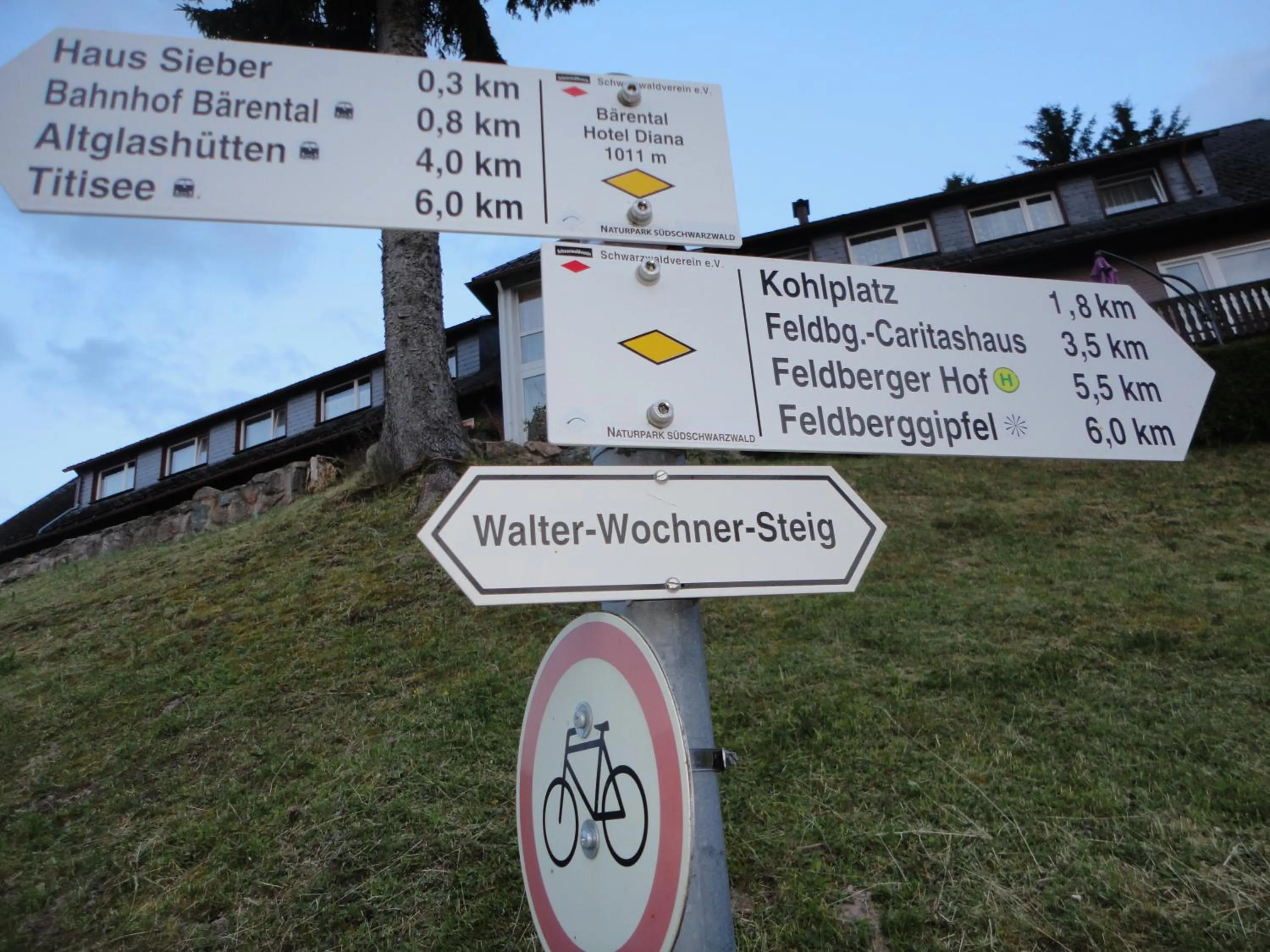 Facade/entrance in Hotel Diana