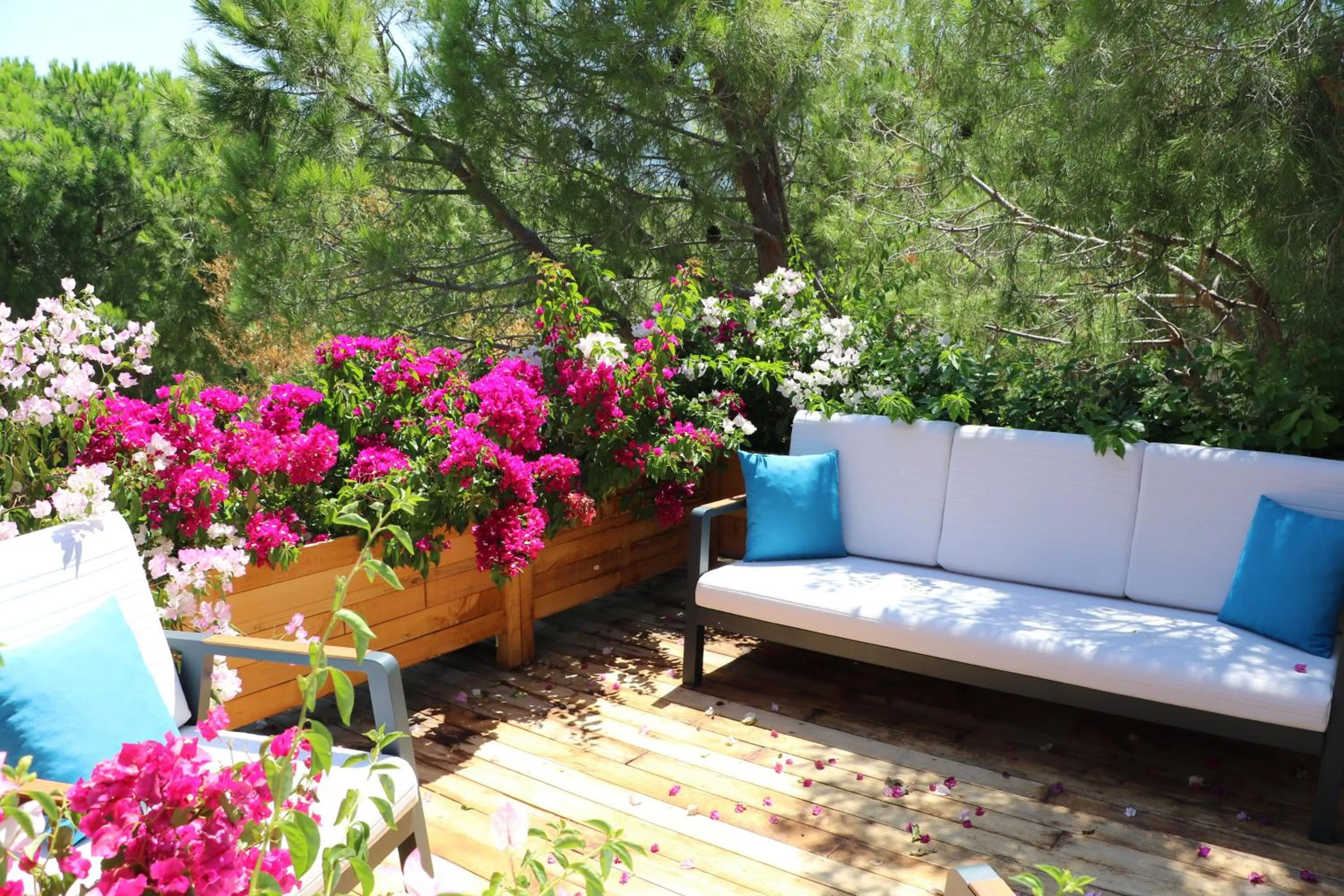 Balcony/Terrace in Life Butiq Otel