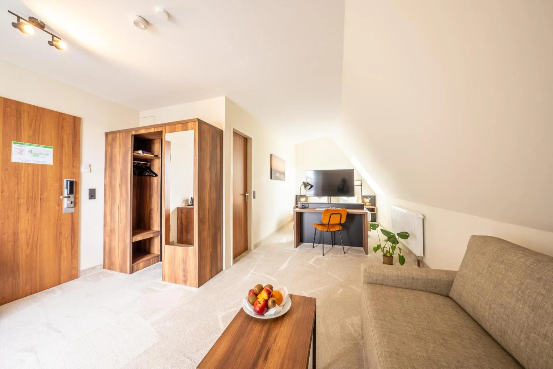 TV and multimedia in SOLTHUS Hotel&SPA