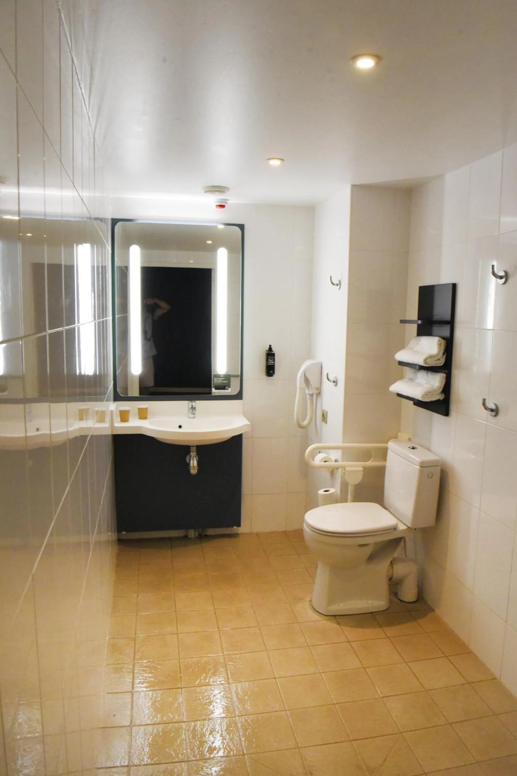 ibis Laval Le Relais D'Armor