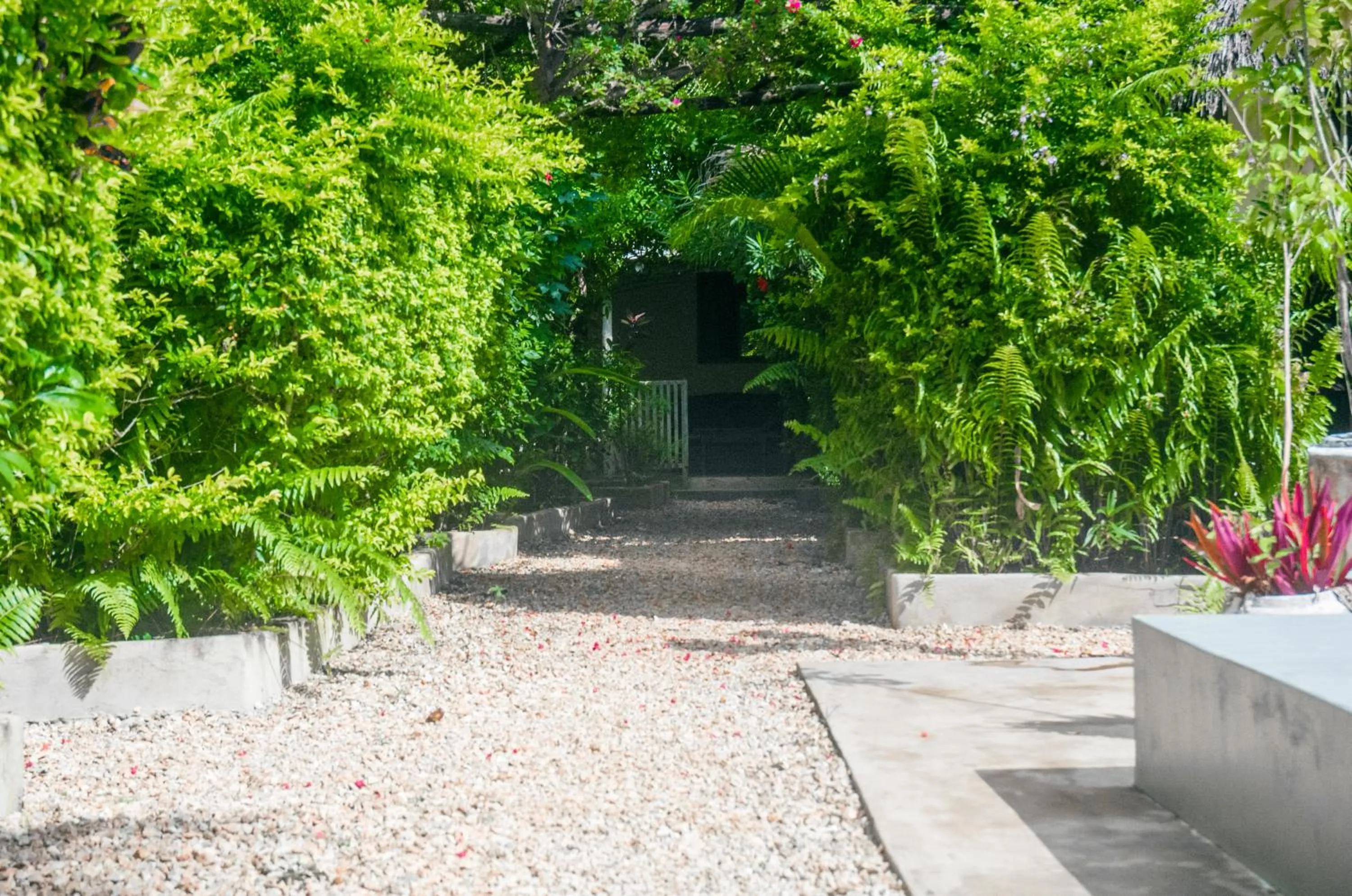 Garden in Shamba Village