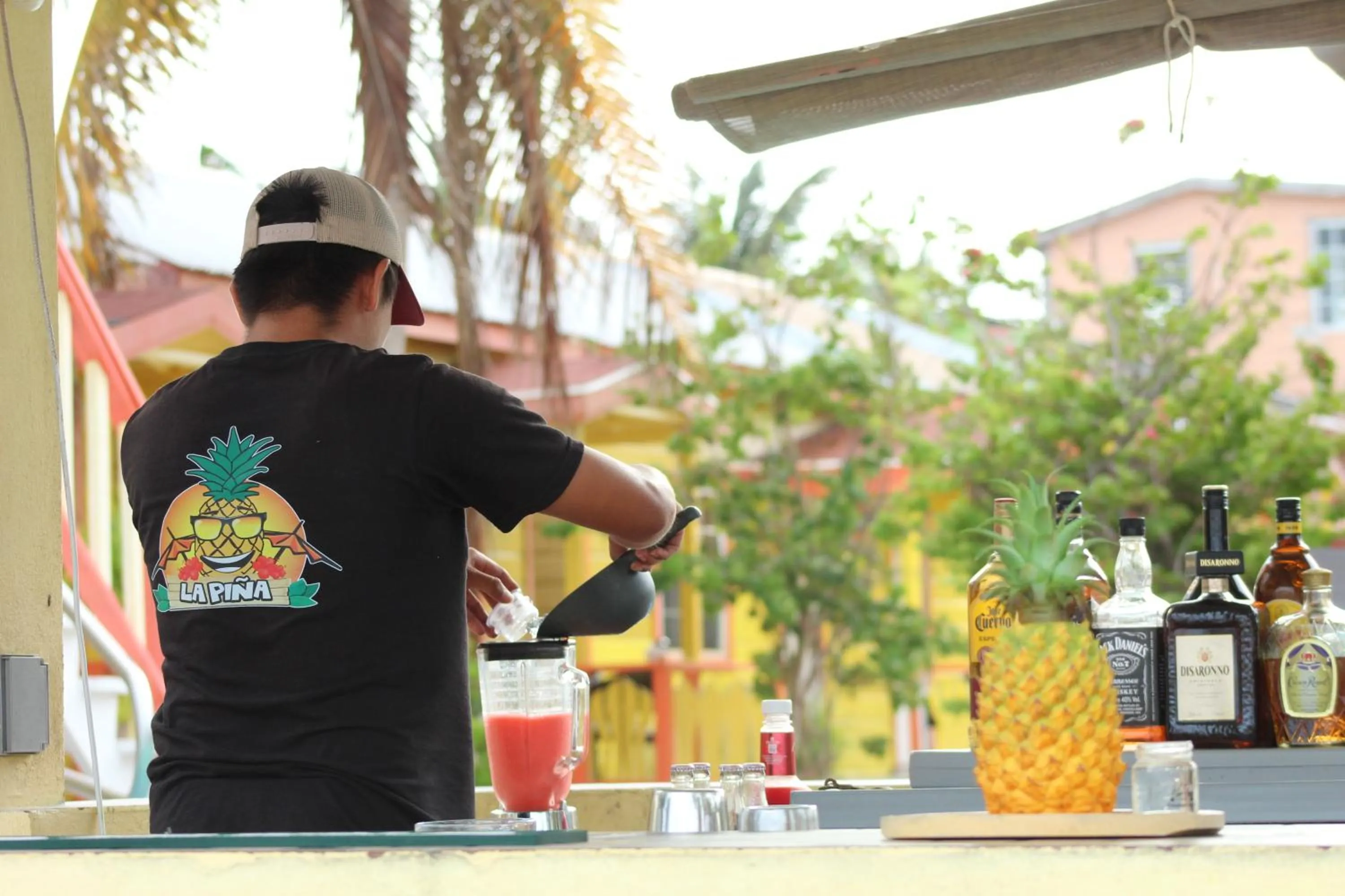 Lounge or bar in Tropical Paradise Express