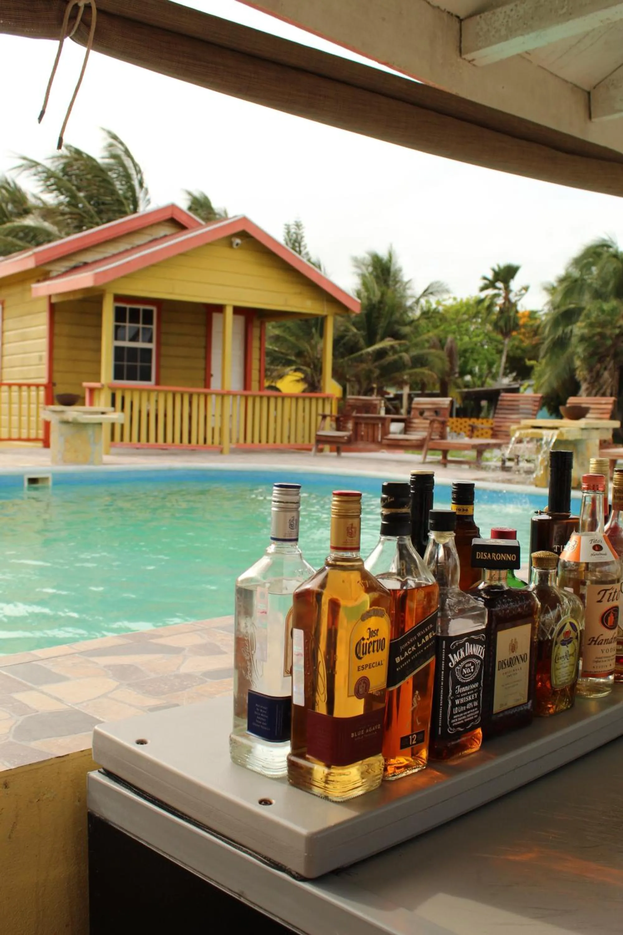 Lounge or bar in Tropical Paradise Express